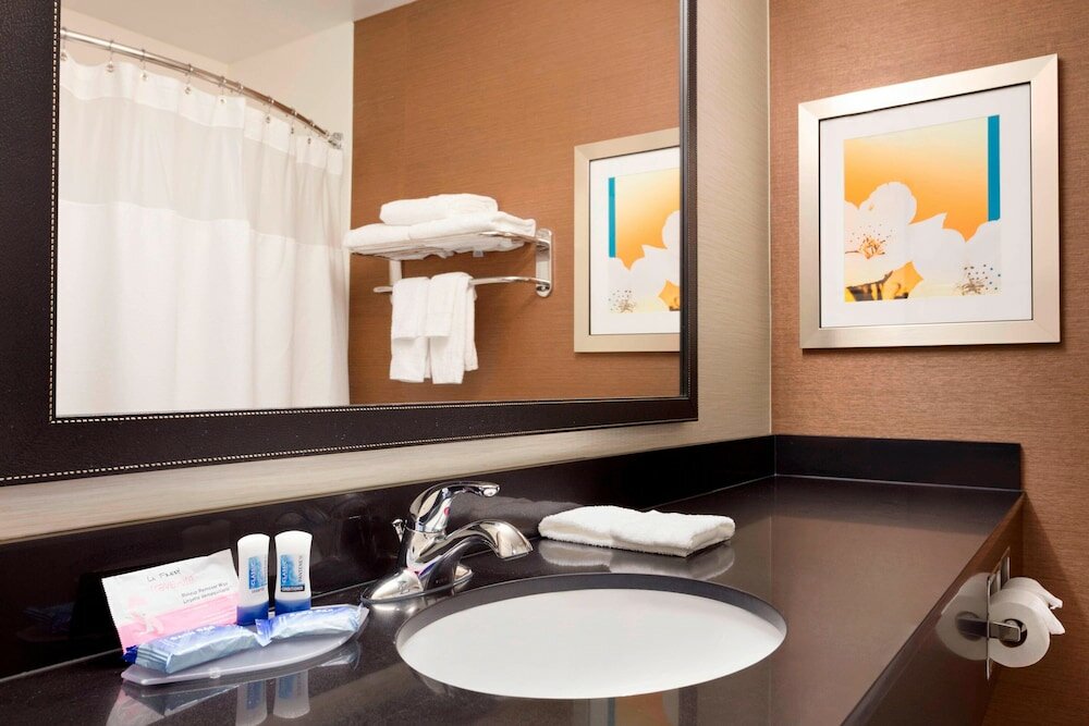 Executive Suite, 1 King Bed with Sofa bed