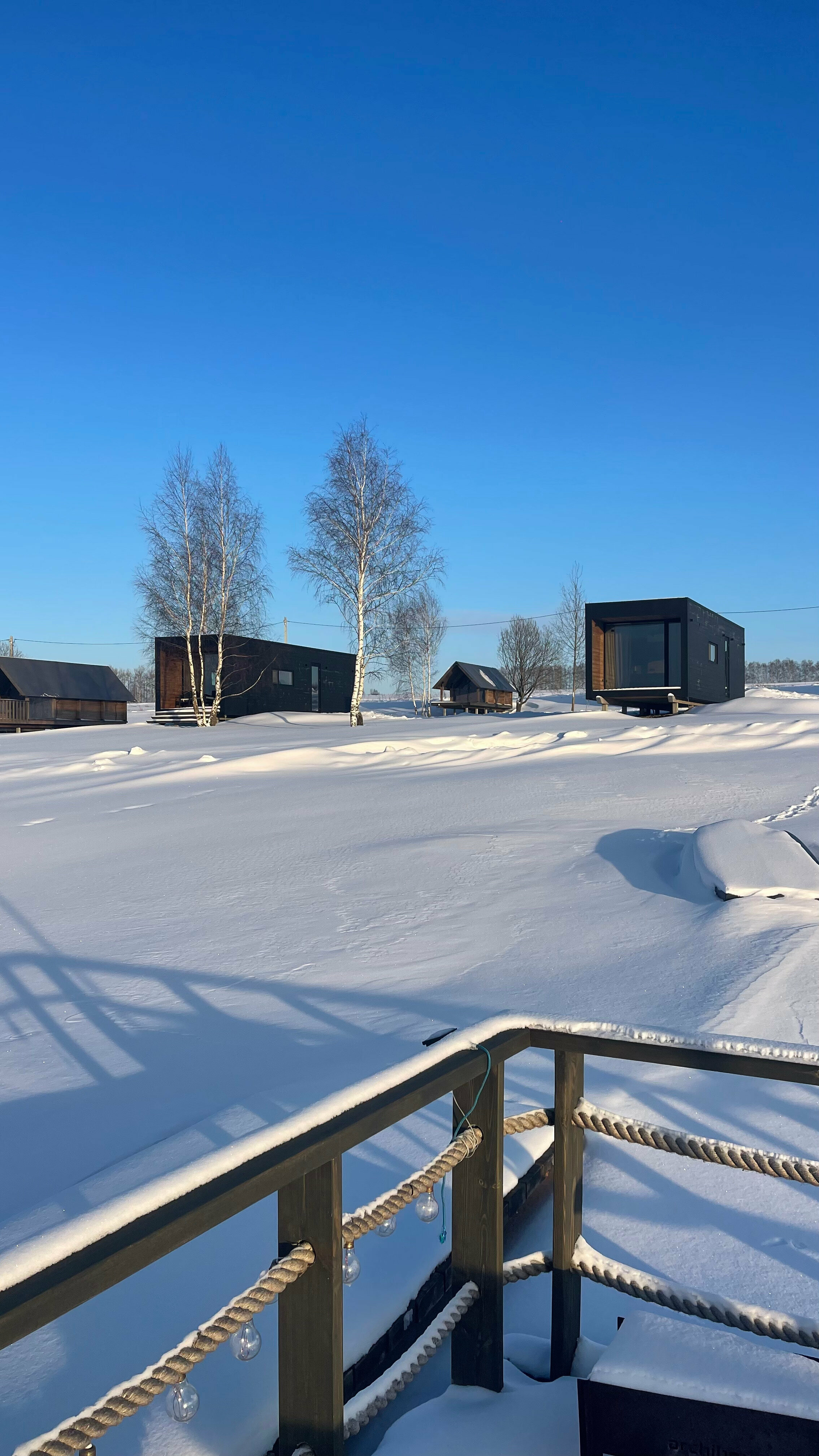 Липовый свет