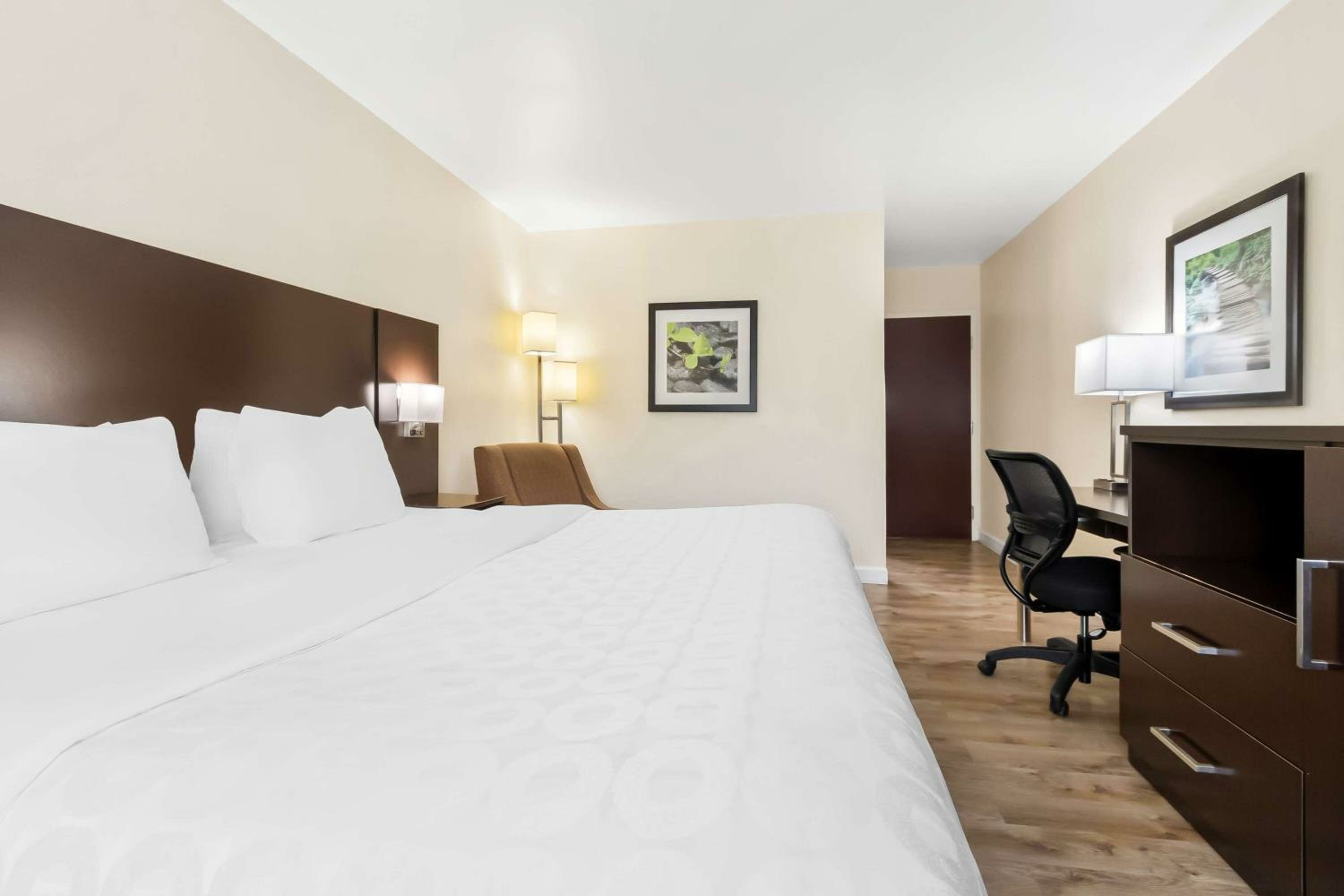 King Room - Non-Smoking