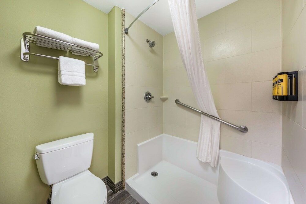 Suite, 1 King Bed, Non Smoking, Refrigerator & Microwave (Larger Room;with Sofabed)
