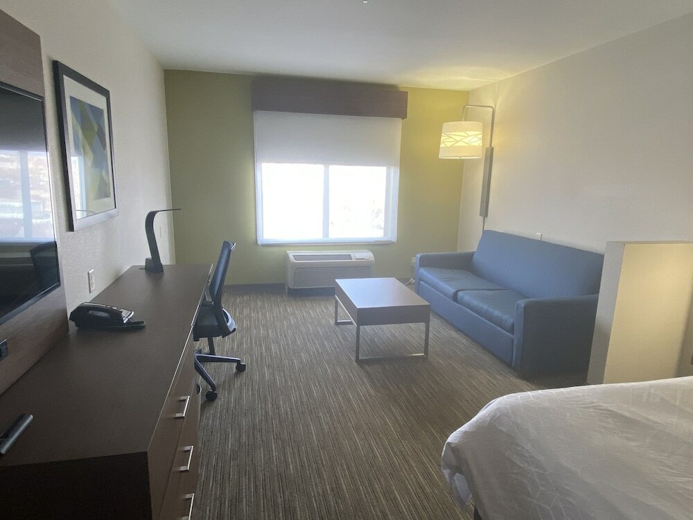 Suite, 1 King Bed with Sofa bed