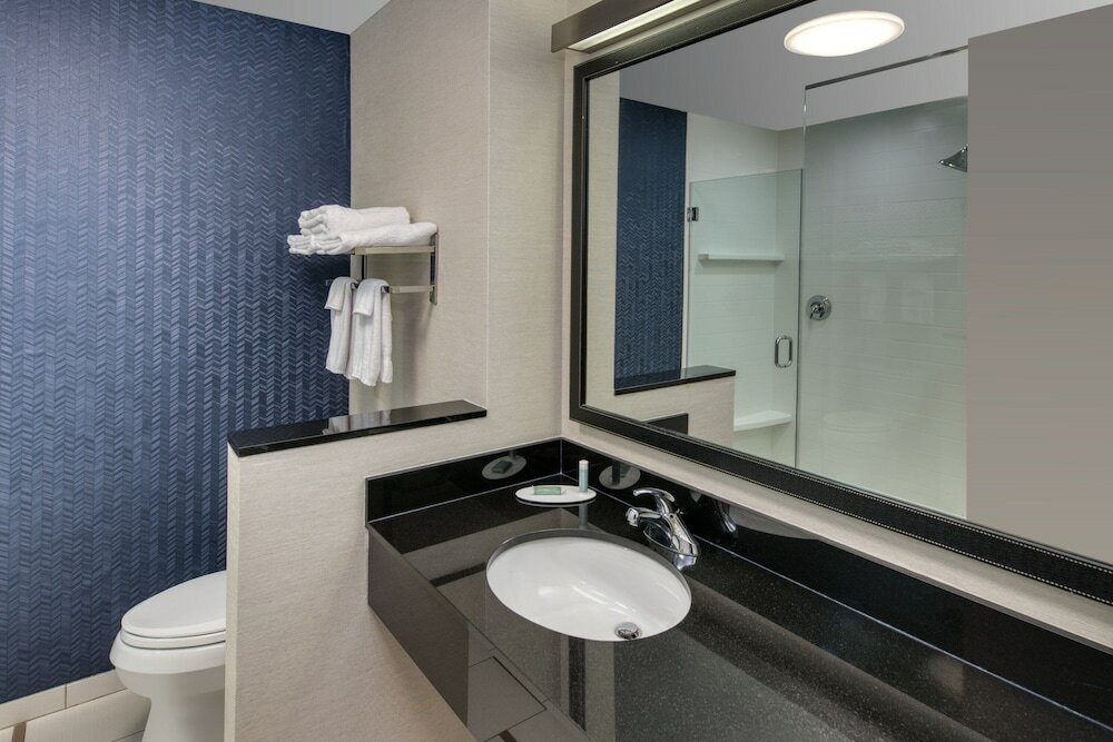Suite, 1 King Bed with Sofa bed