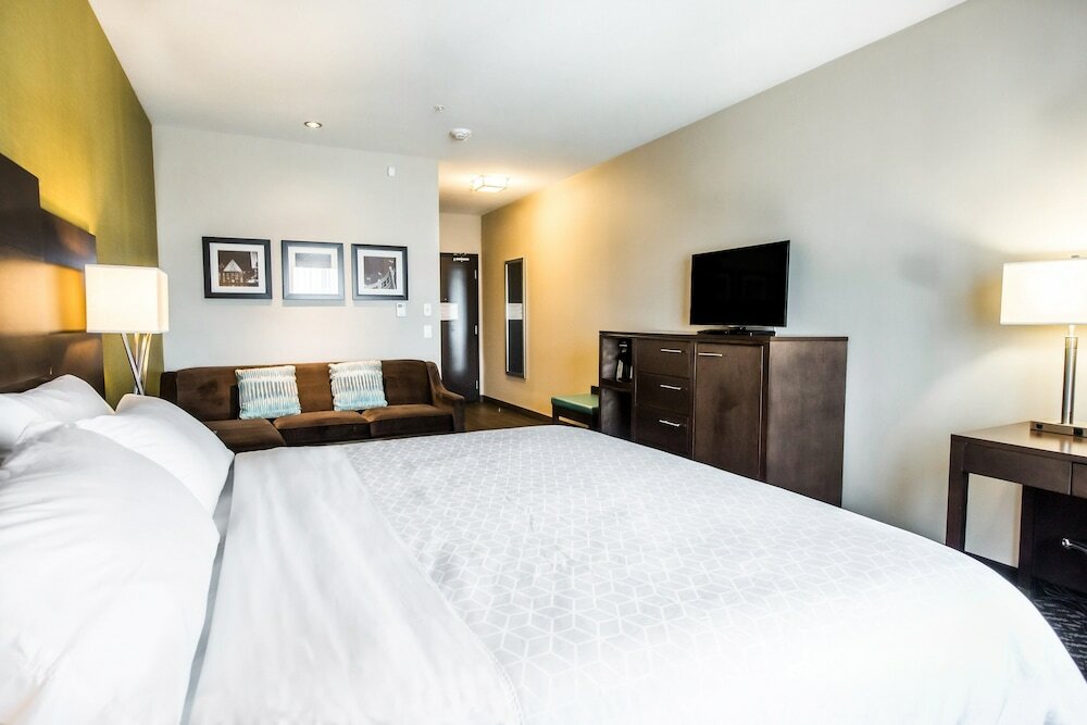 Standard Room, 1 King Bed with Sofa bed