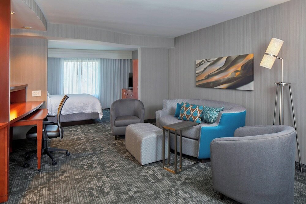 Suite, 1 King Bed with Sofa bed