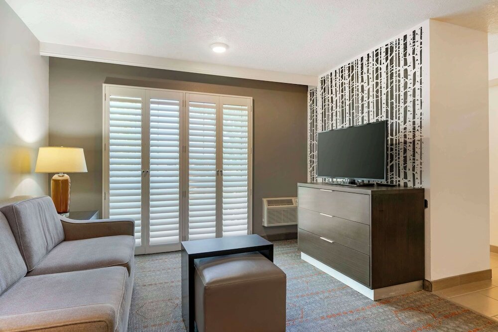 Suite, 1 King Bed, Non Smoking, Balcony (with Sofabed)