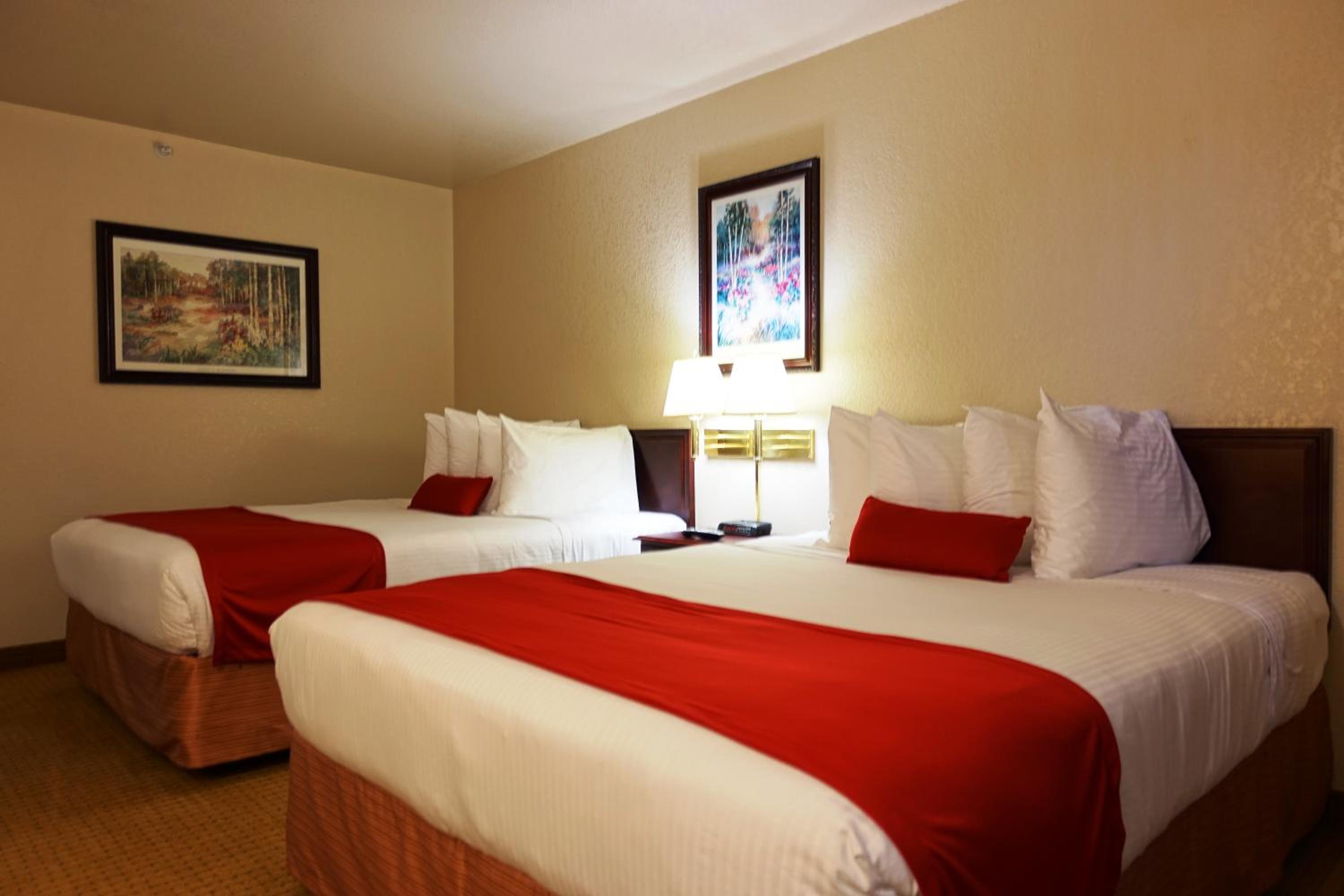 Queen Room with 2 Queen Beds - Non Smoking