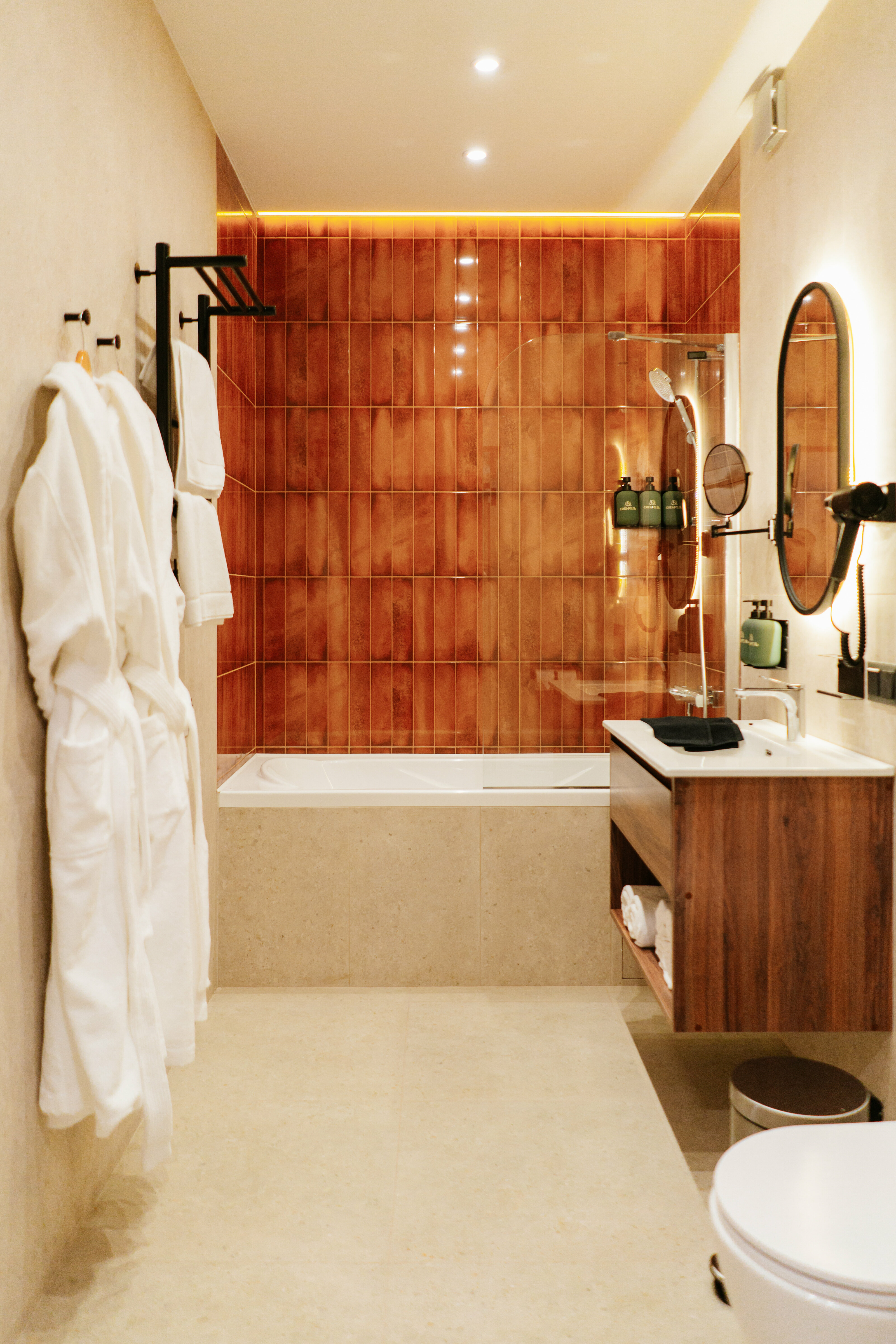 Двухместный номер Делюкс с 1 кроватью