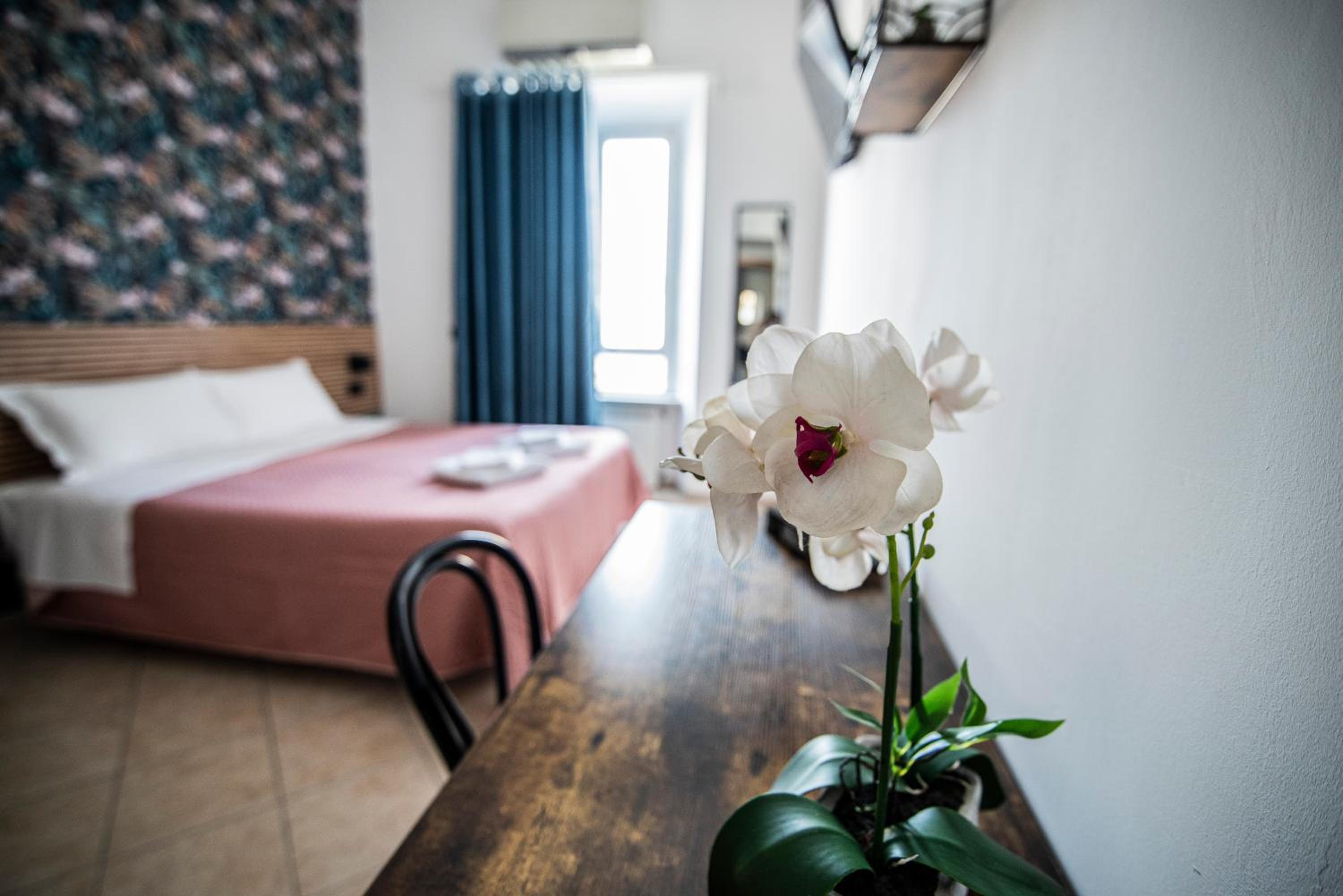 Double or Twin Room with Private Bathroom