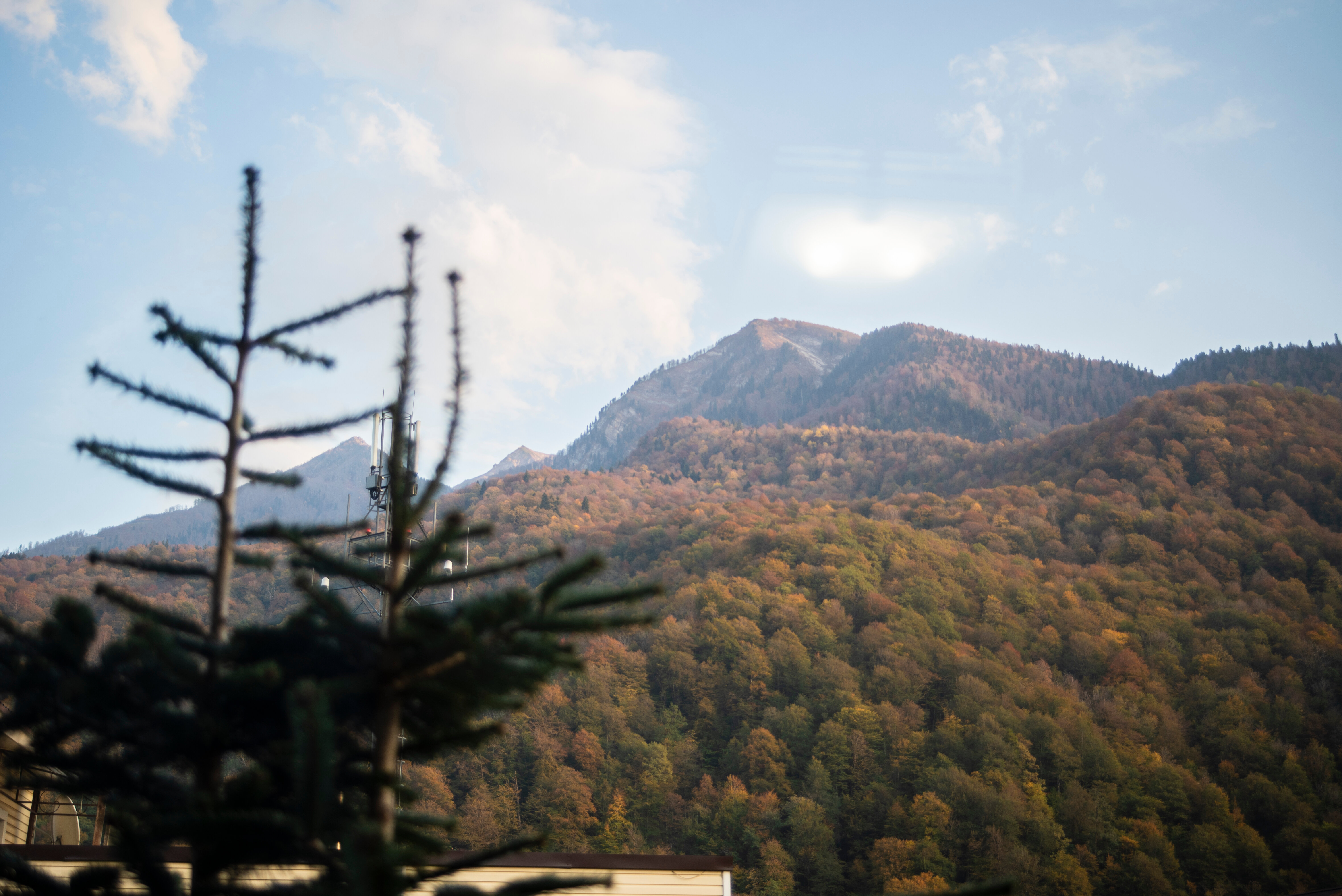 Стандарт с раздельными кроватями