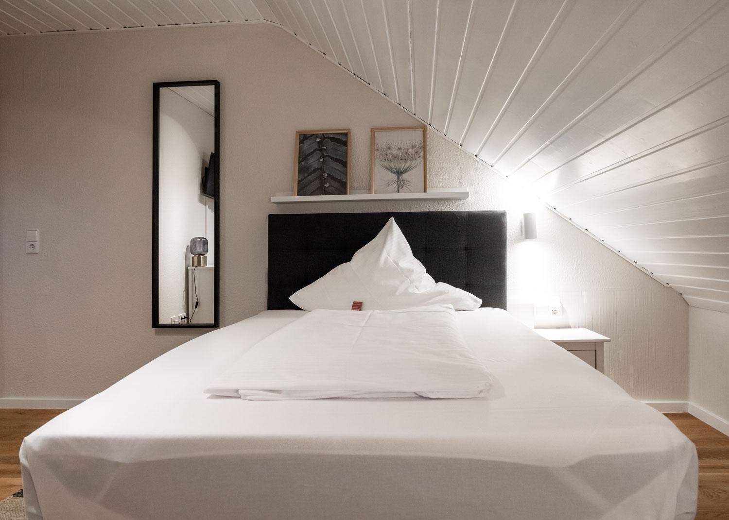 Comfort Single Room with Shower