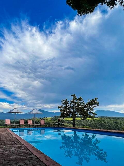 Deluxe Double or Twin Room with Mountain View