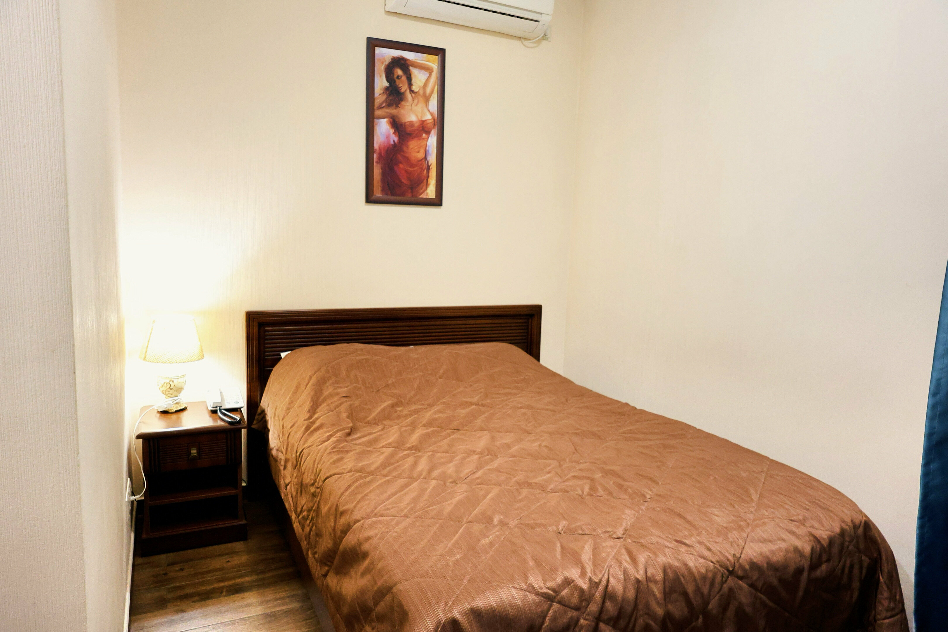 Двухместный номер с 1 кроватью