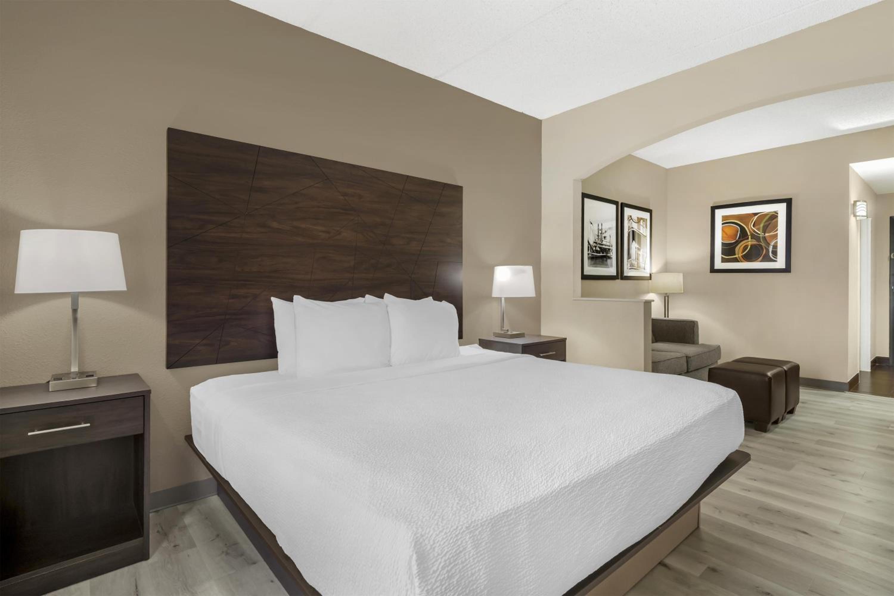 King Room - Non-Smoking