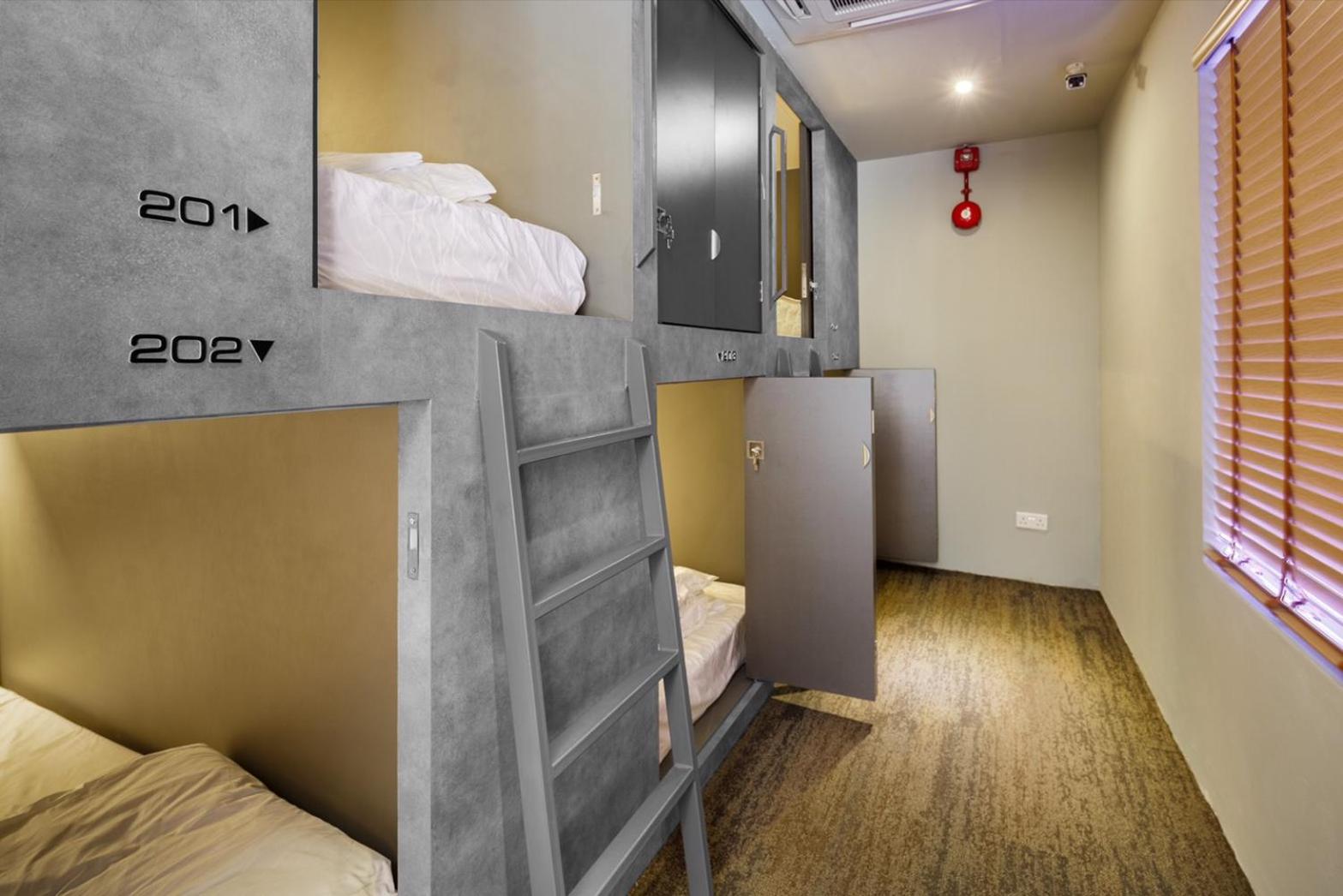 King Pod In Mixed Dorm