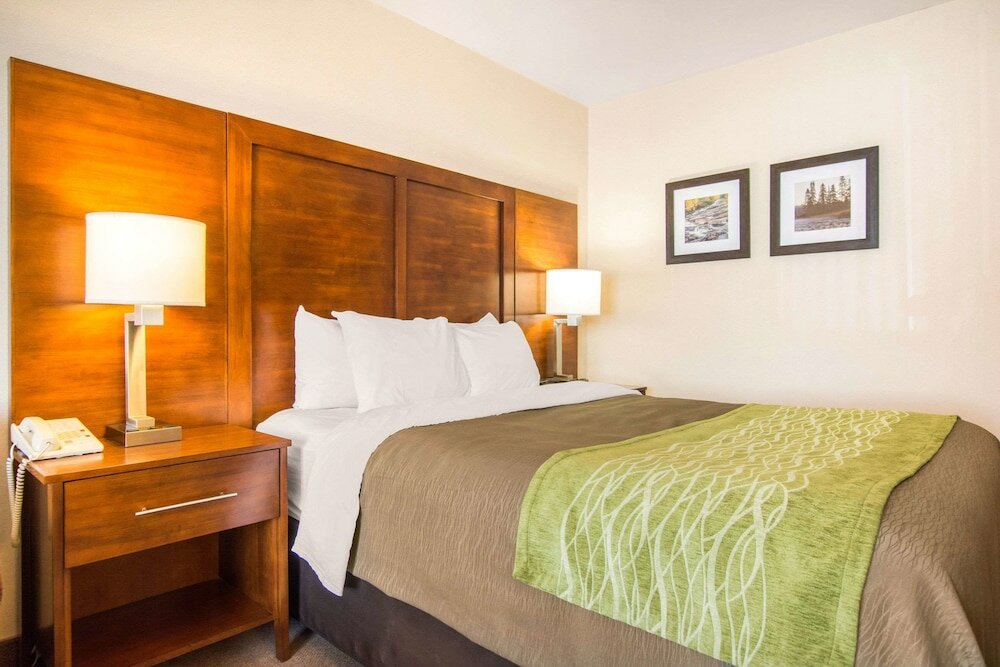 Standard Room, 1 Queen Bed with Sofa bed, Non Smoking