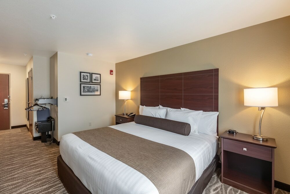 Room, 1 King Bed, Accessible Benched Tub, Non Smoking
