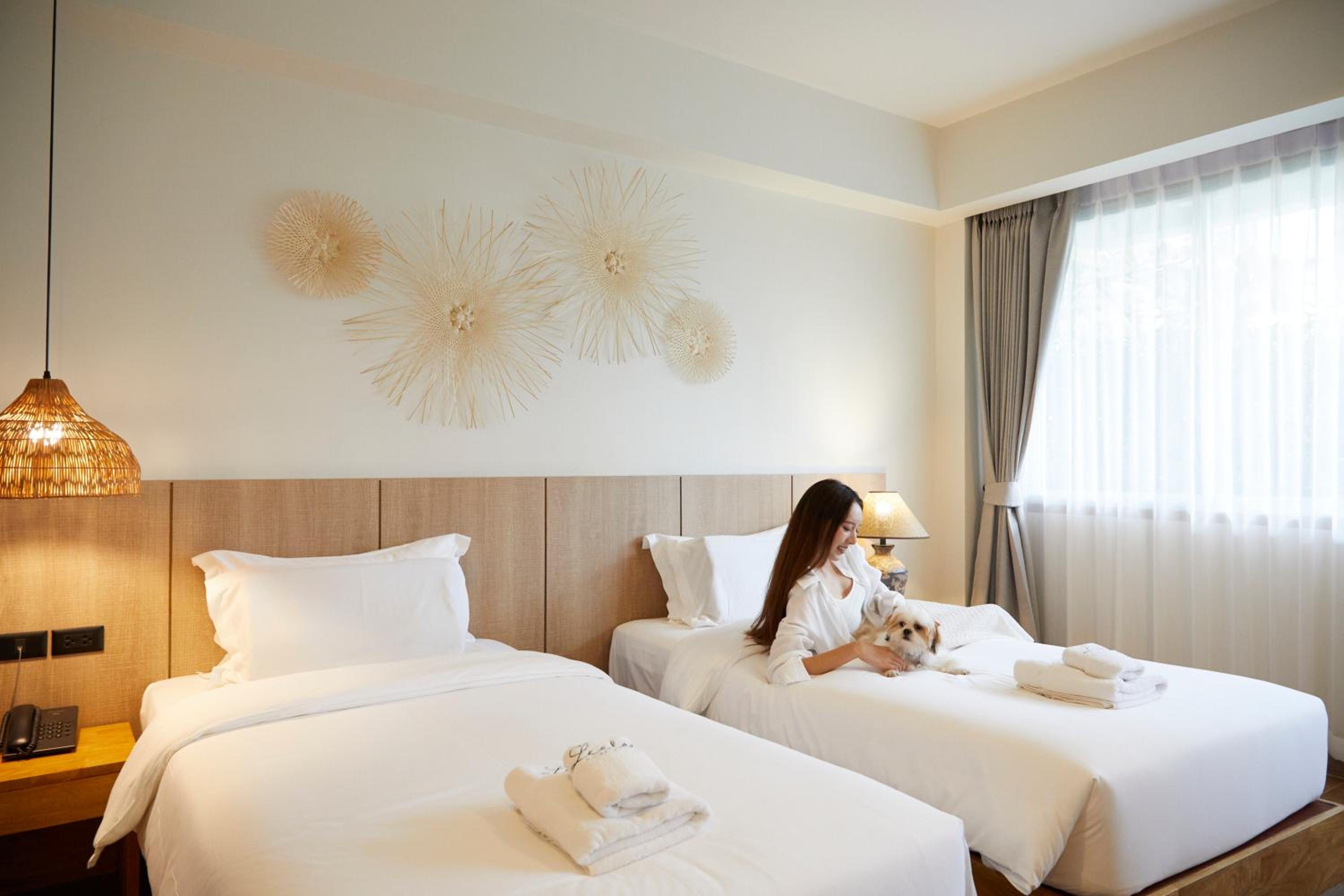 Double or Twin Room