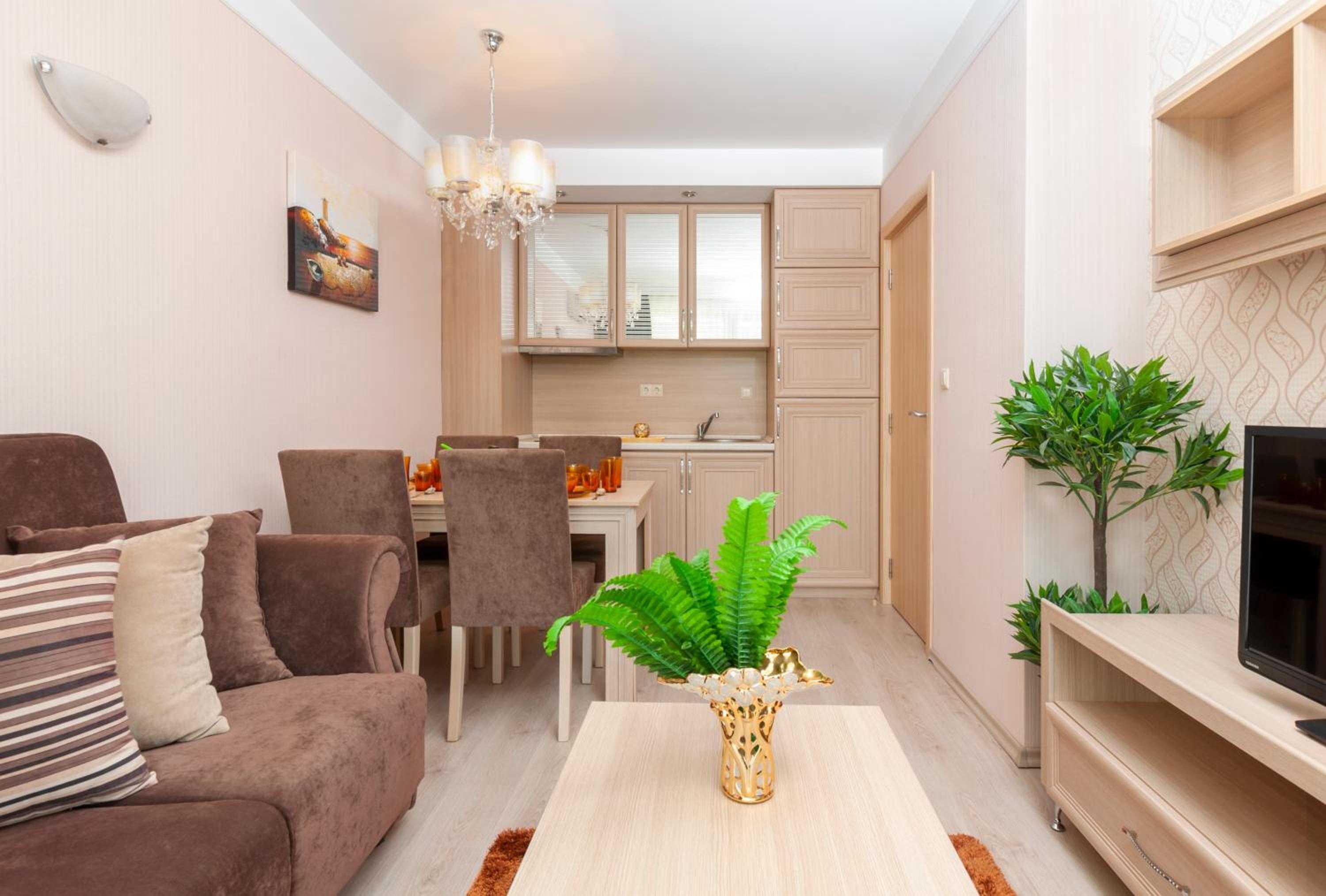 Standard One-Bedroom Apartment