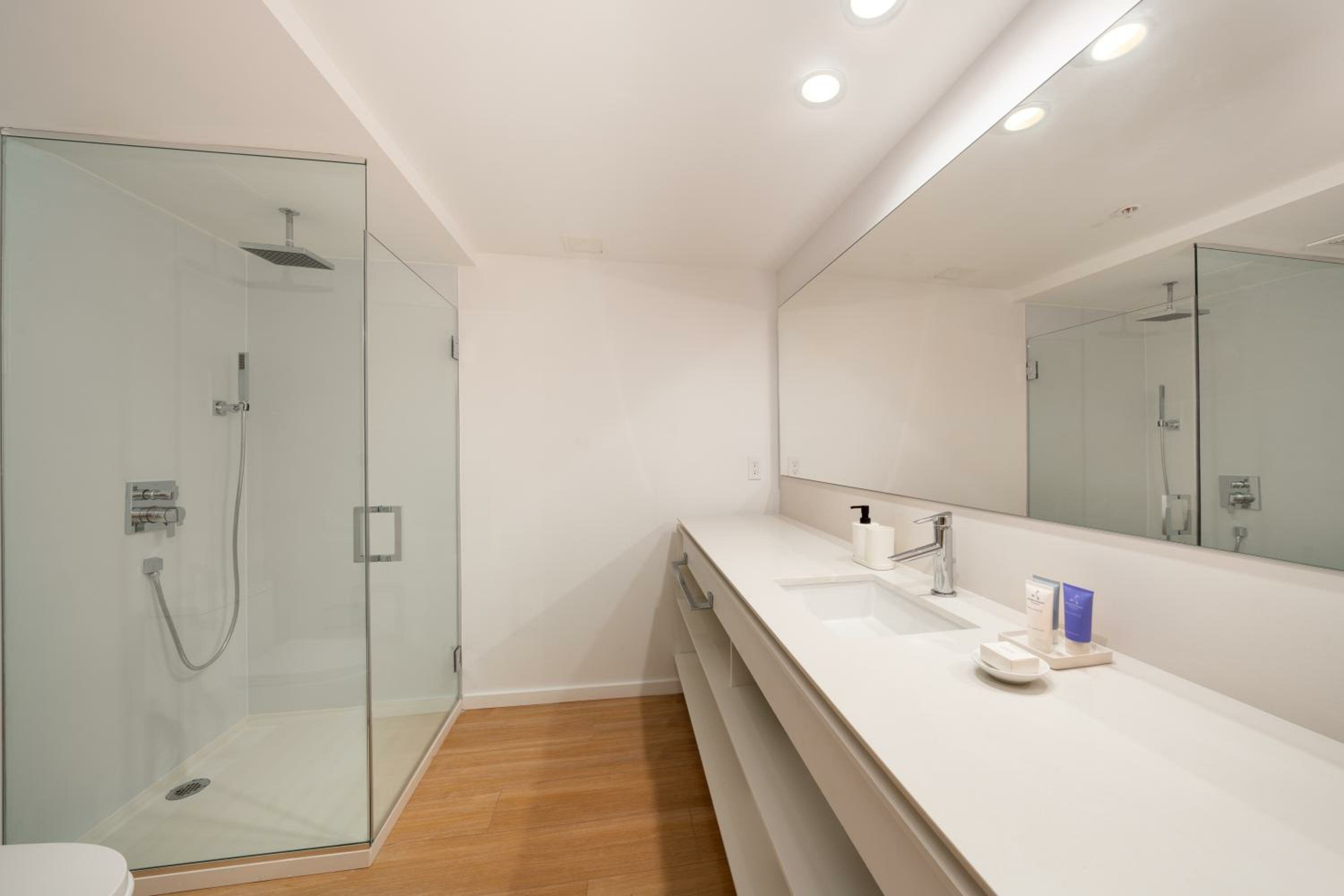 Deluxe One Bedroom King	