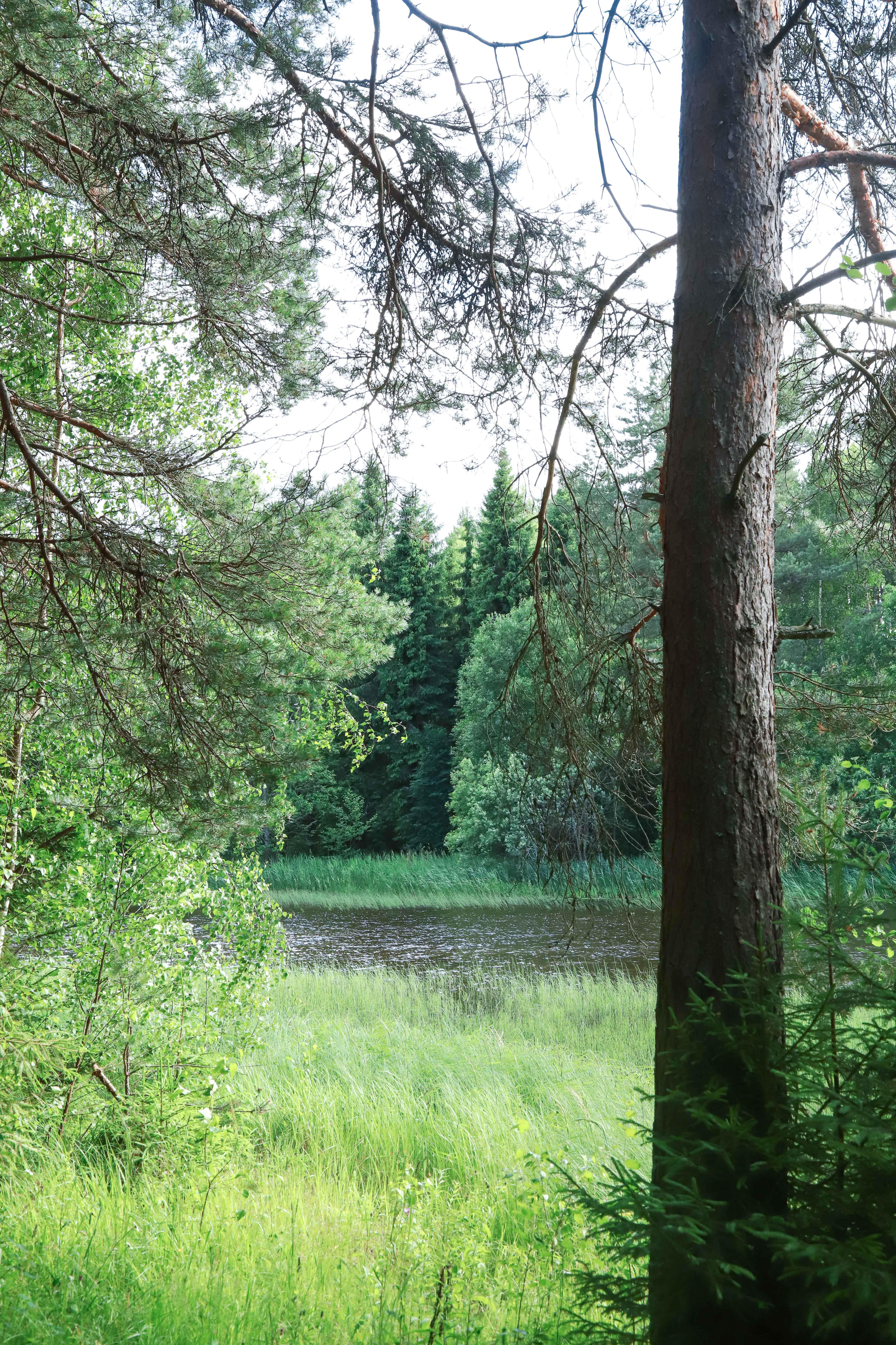 Большой двухместный номер с 1 кроватью