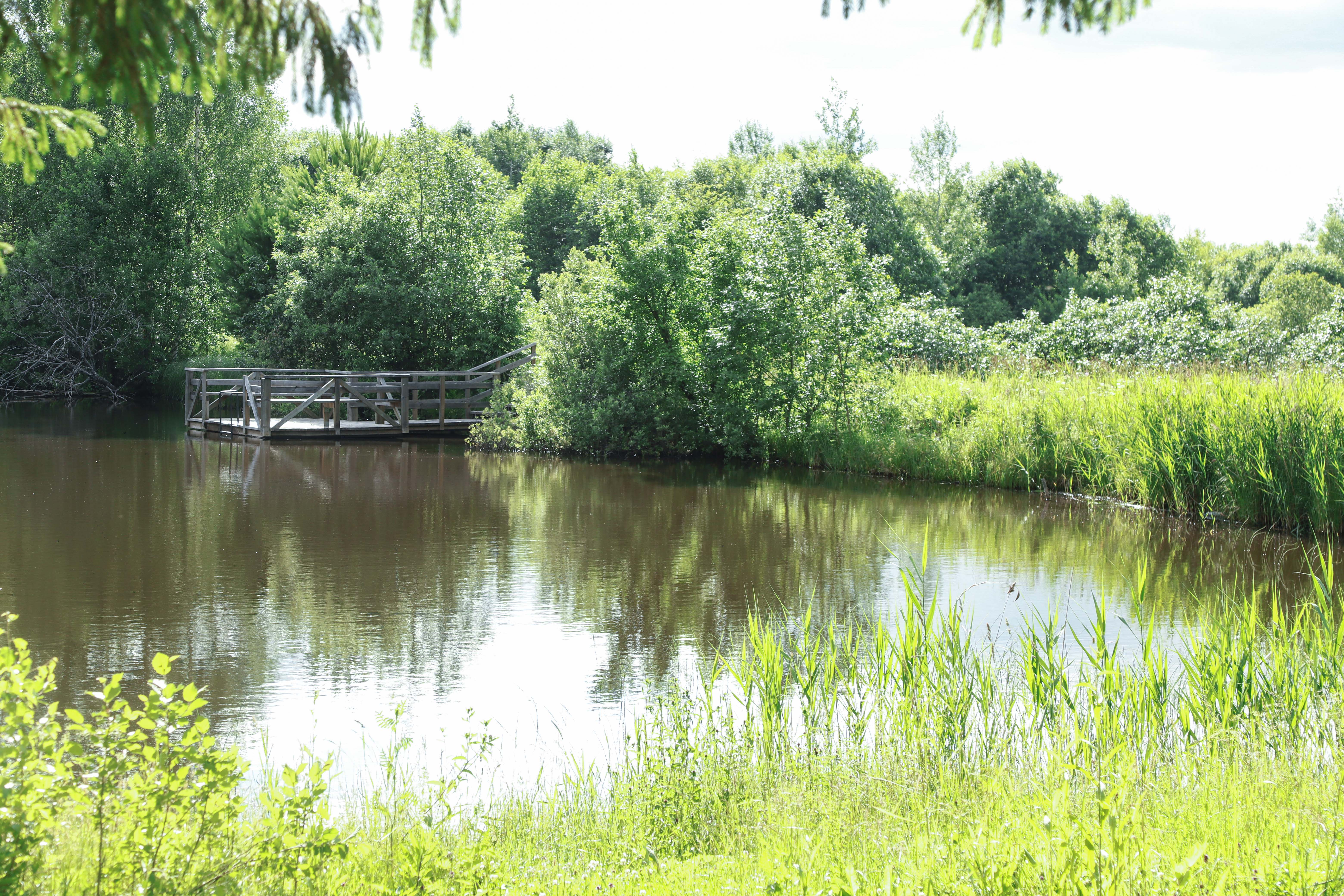 Большой двухместный номер с 1 кроватью