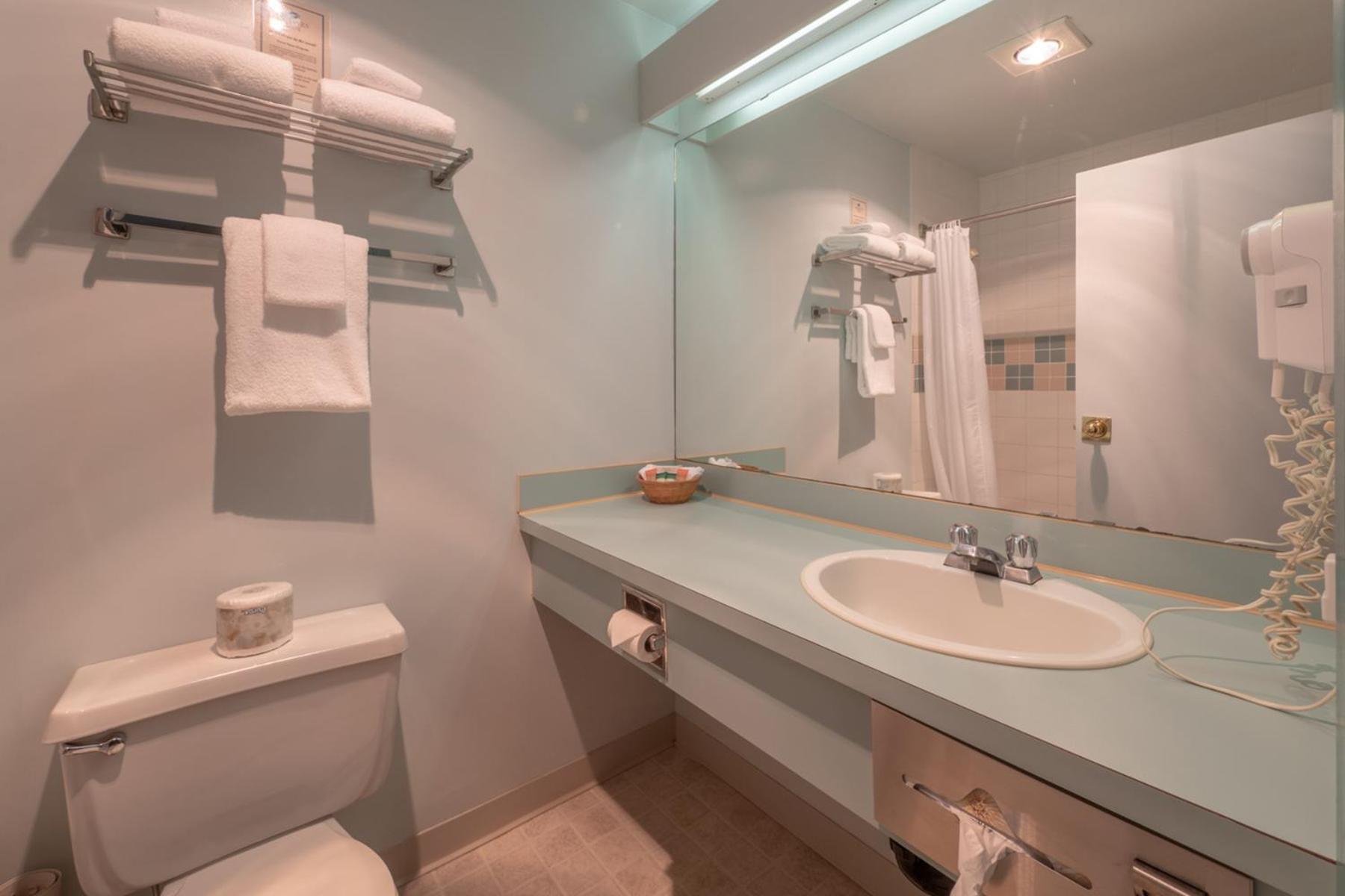 Standard Queen Room (NOT Pet Friendly)