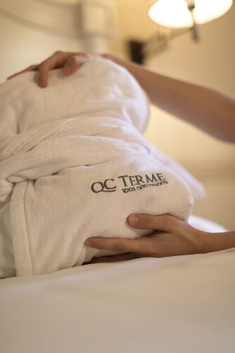 Двухместный номер «Комфорт» с 1 двуспальной кроватью, терраса в Qc Terme Roma SPA & Resort