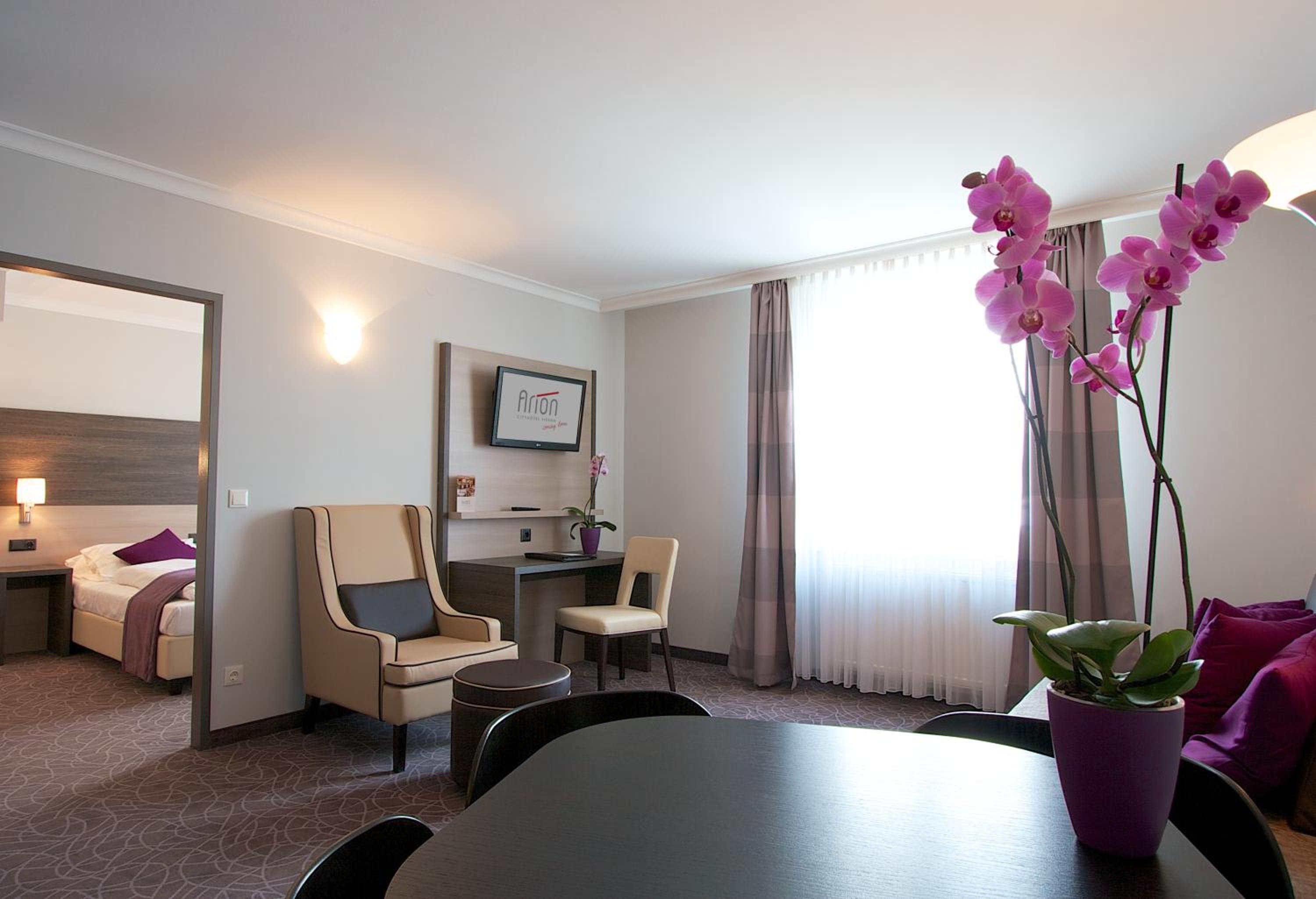 One-Bedroom Apartment with Sofa Bed