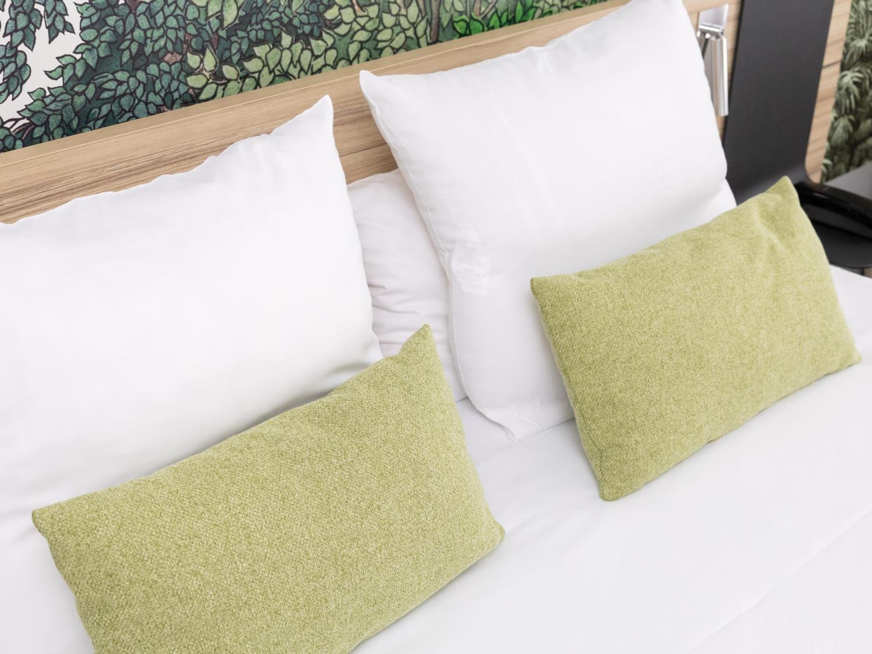 Superior Apartment - Non-Smoking