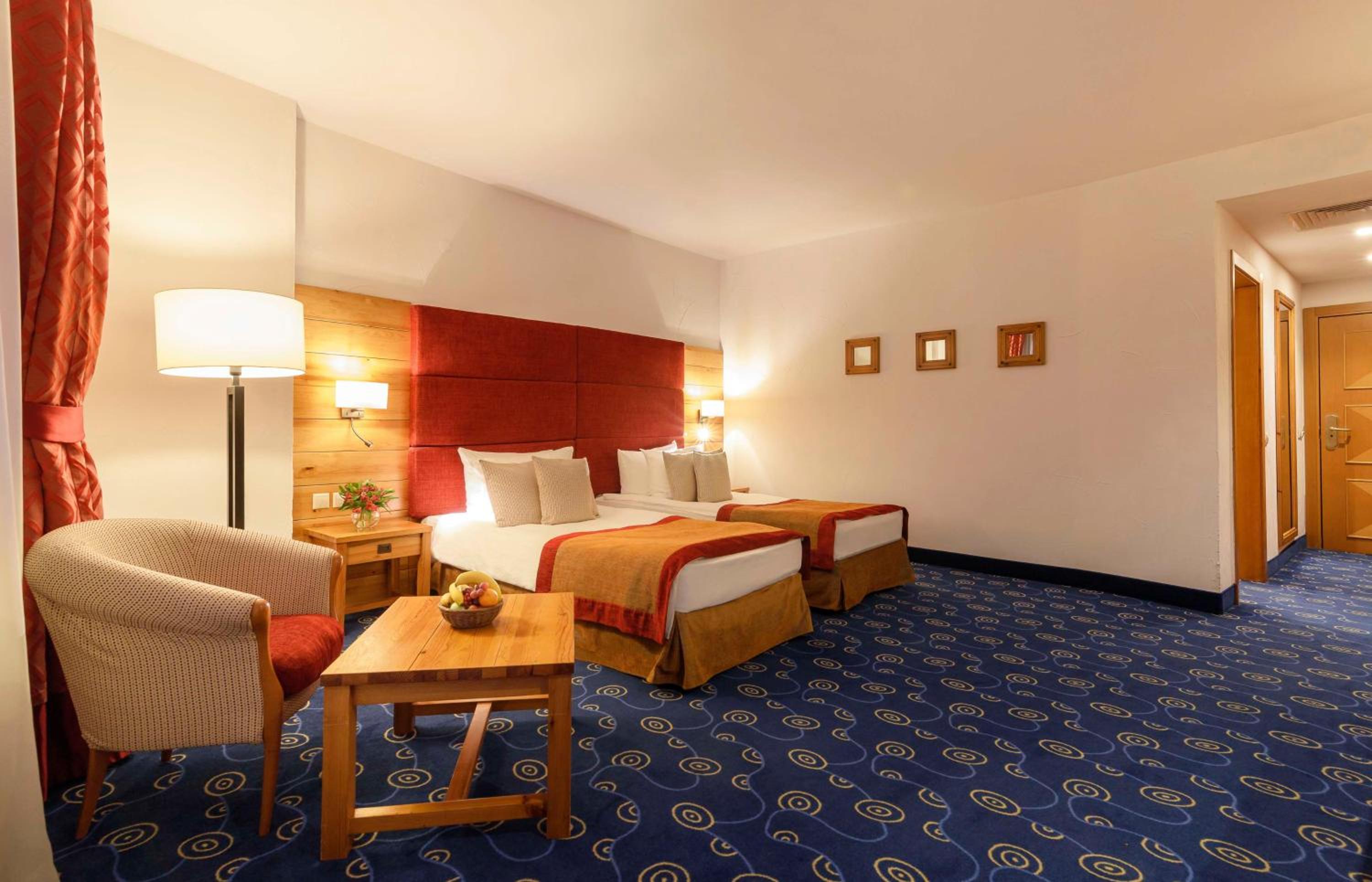 Deluxe Room Mountain View with Twin Beds