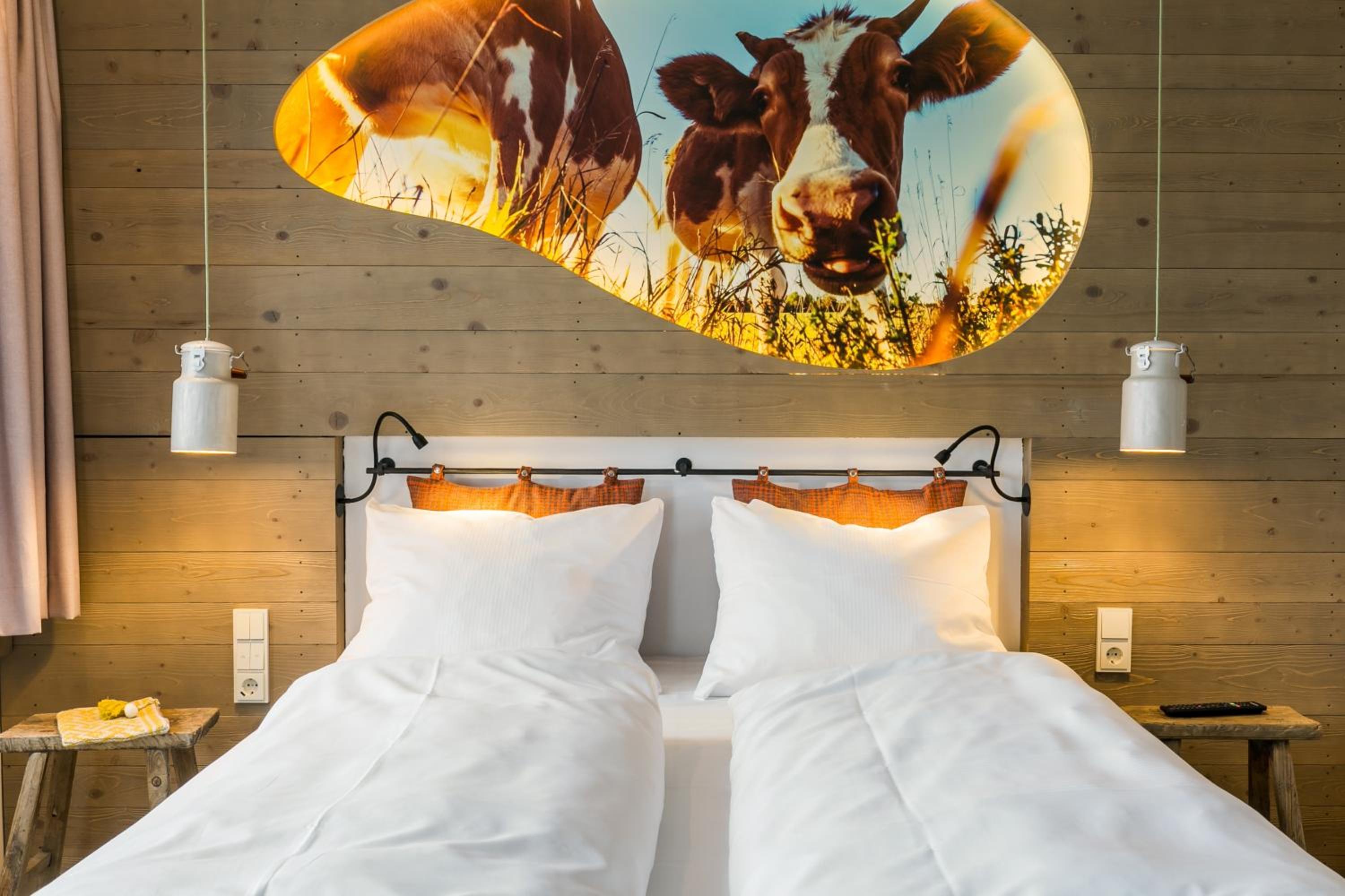 Deluxe Double Room (Sky View Alm)