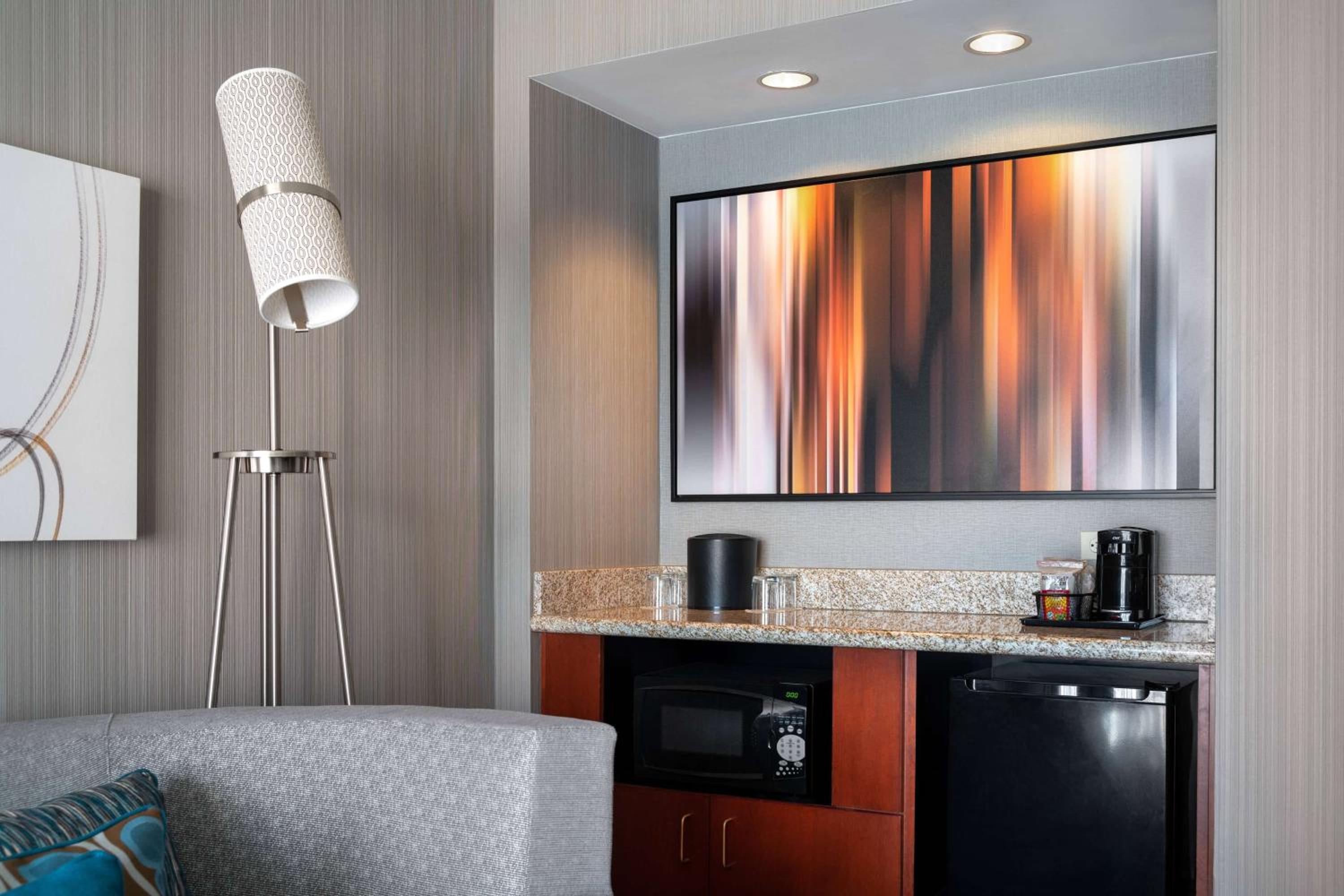 One-Bedroom King Suite