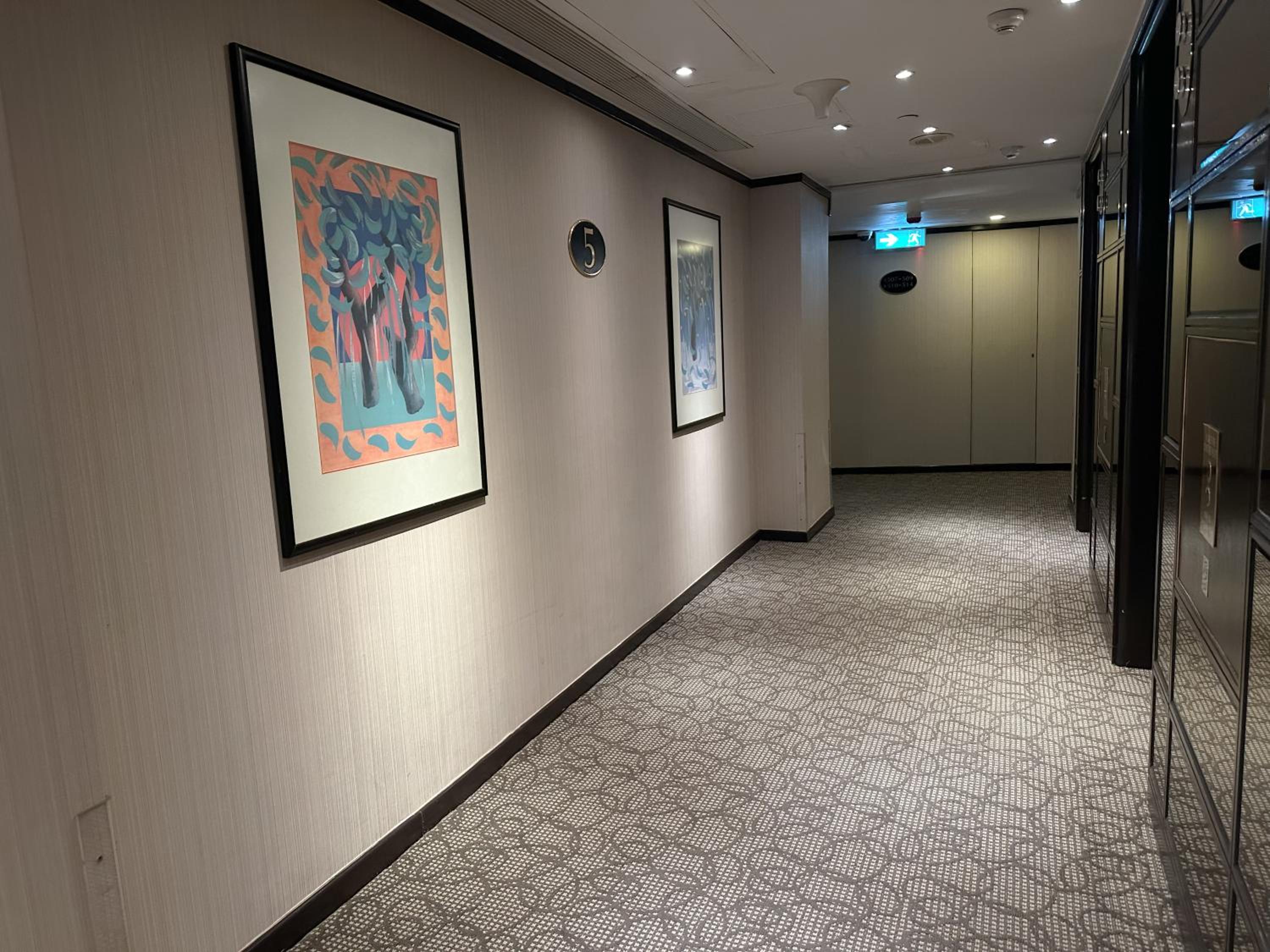 Standard Studio - King Bed with open area