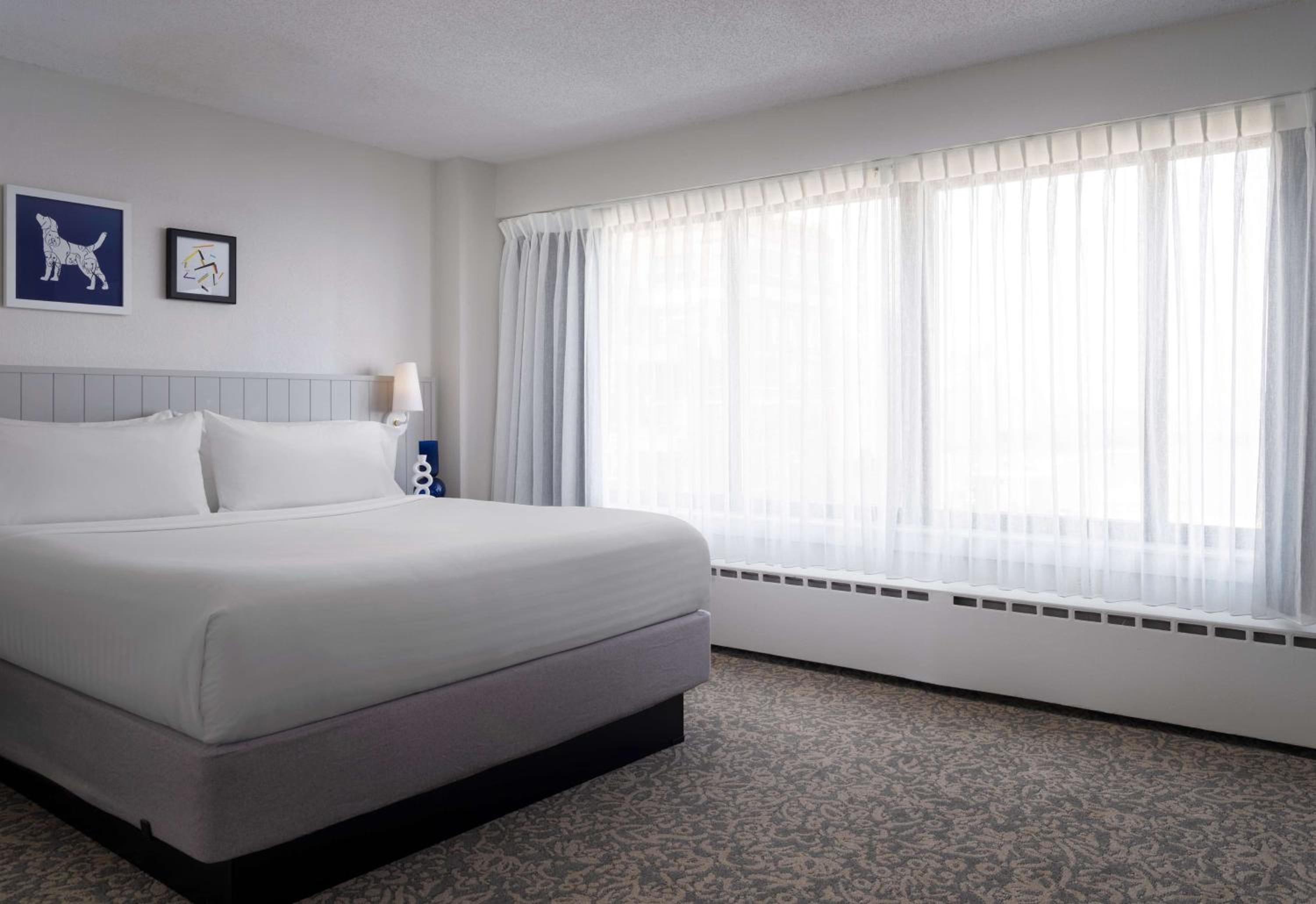 Hearing Accessible One Bedroom Suite King
