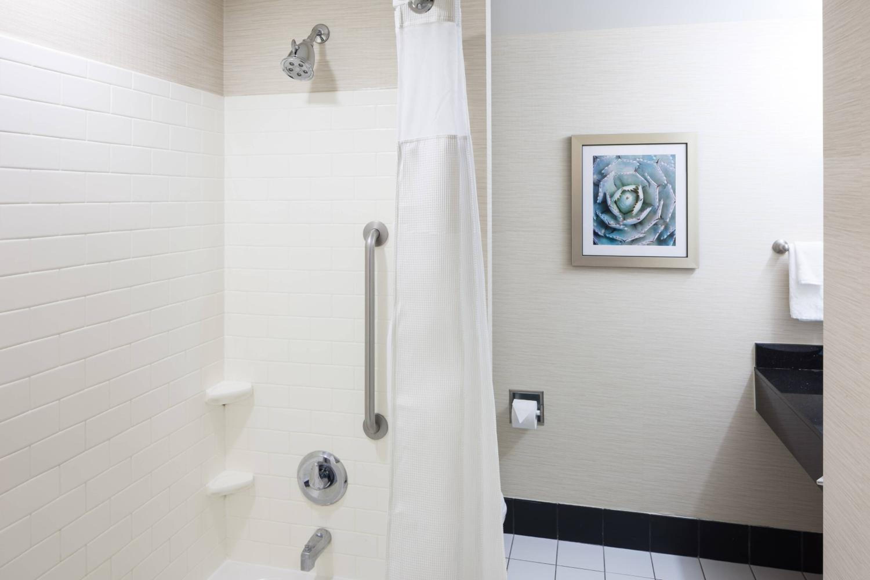 King Suite with Sofa Bed