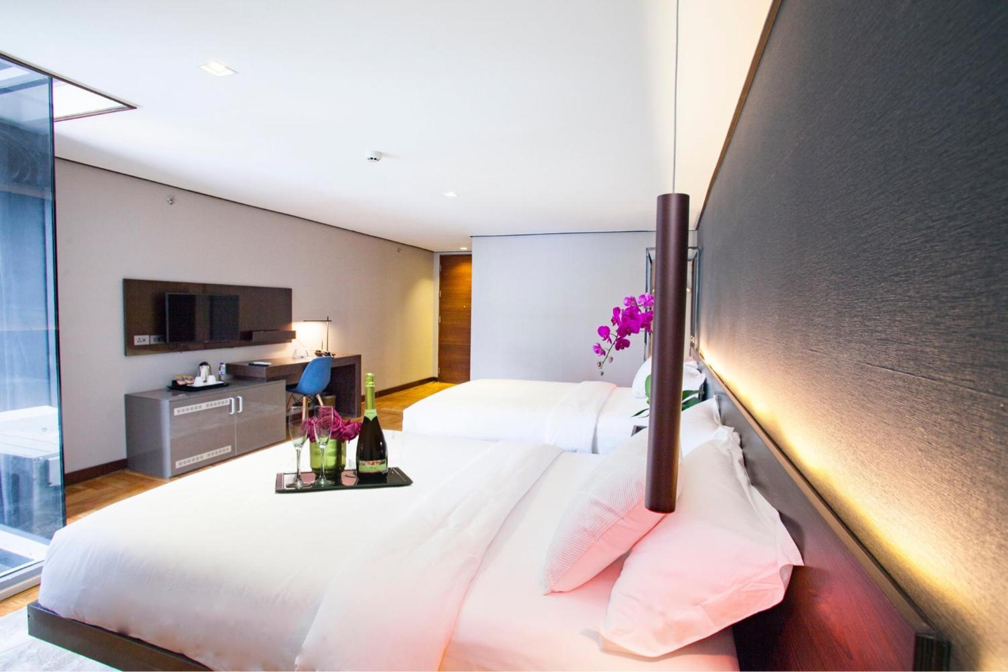 Deluxe Double or Twin Room