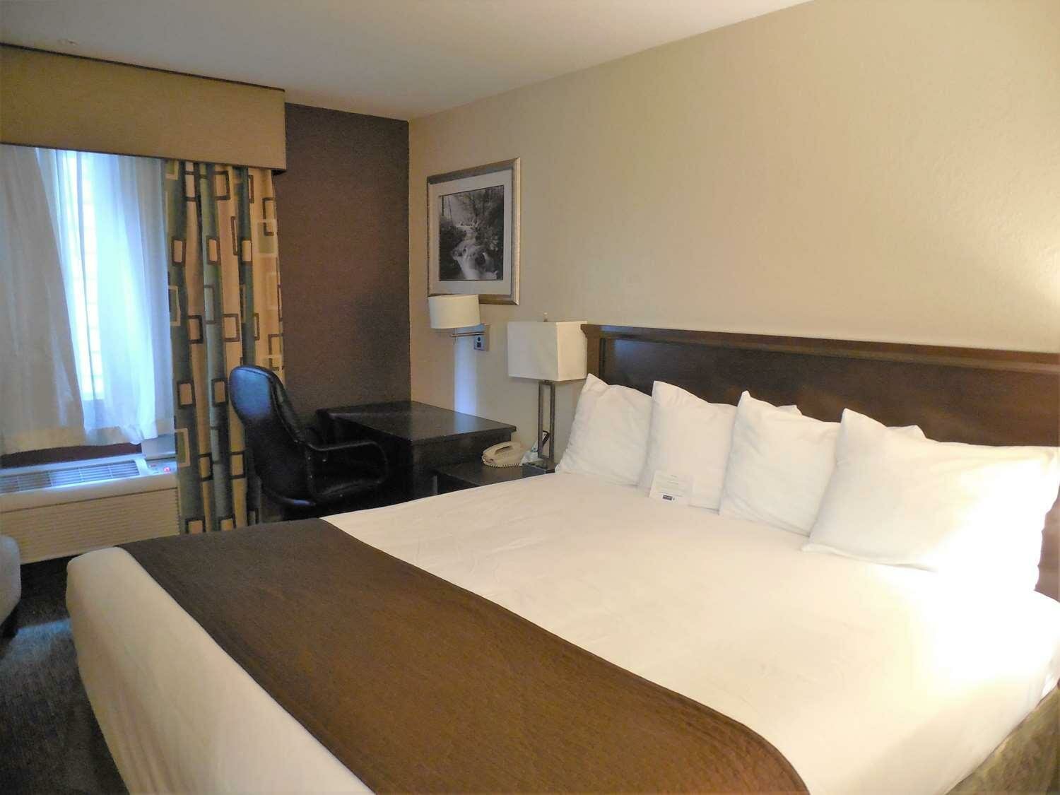 King Room - Non-Smoking