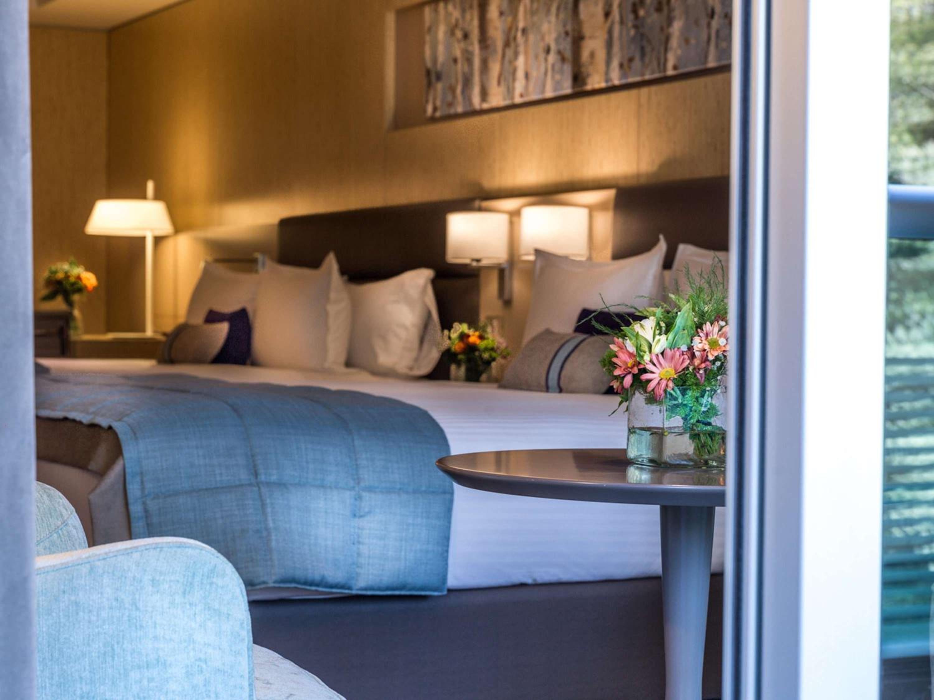 Deluxe King Suite with Balcony and Park View