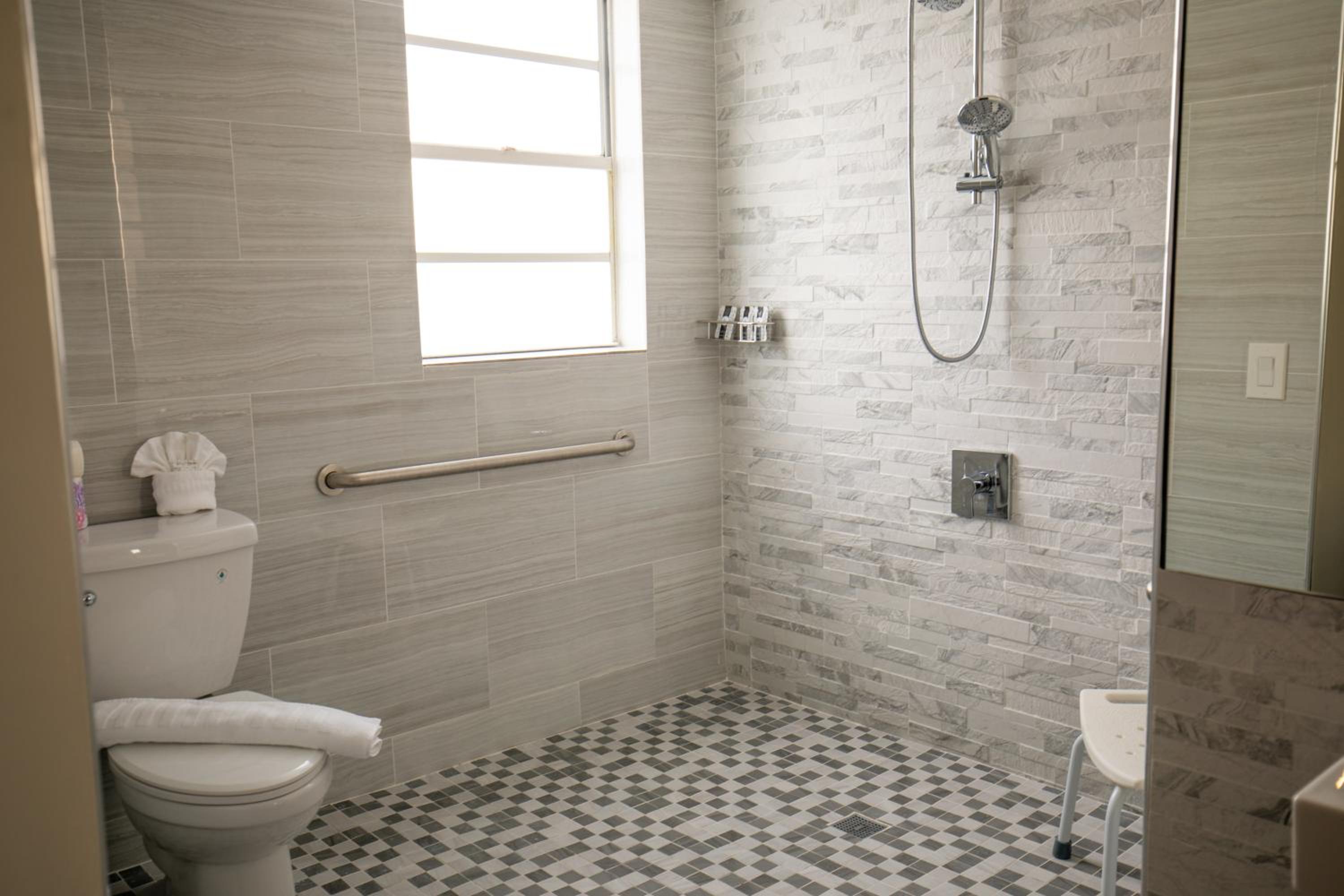 Accessible Deluxe One Bedroom Queen Suite