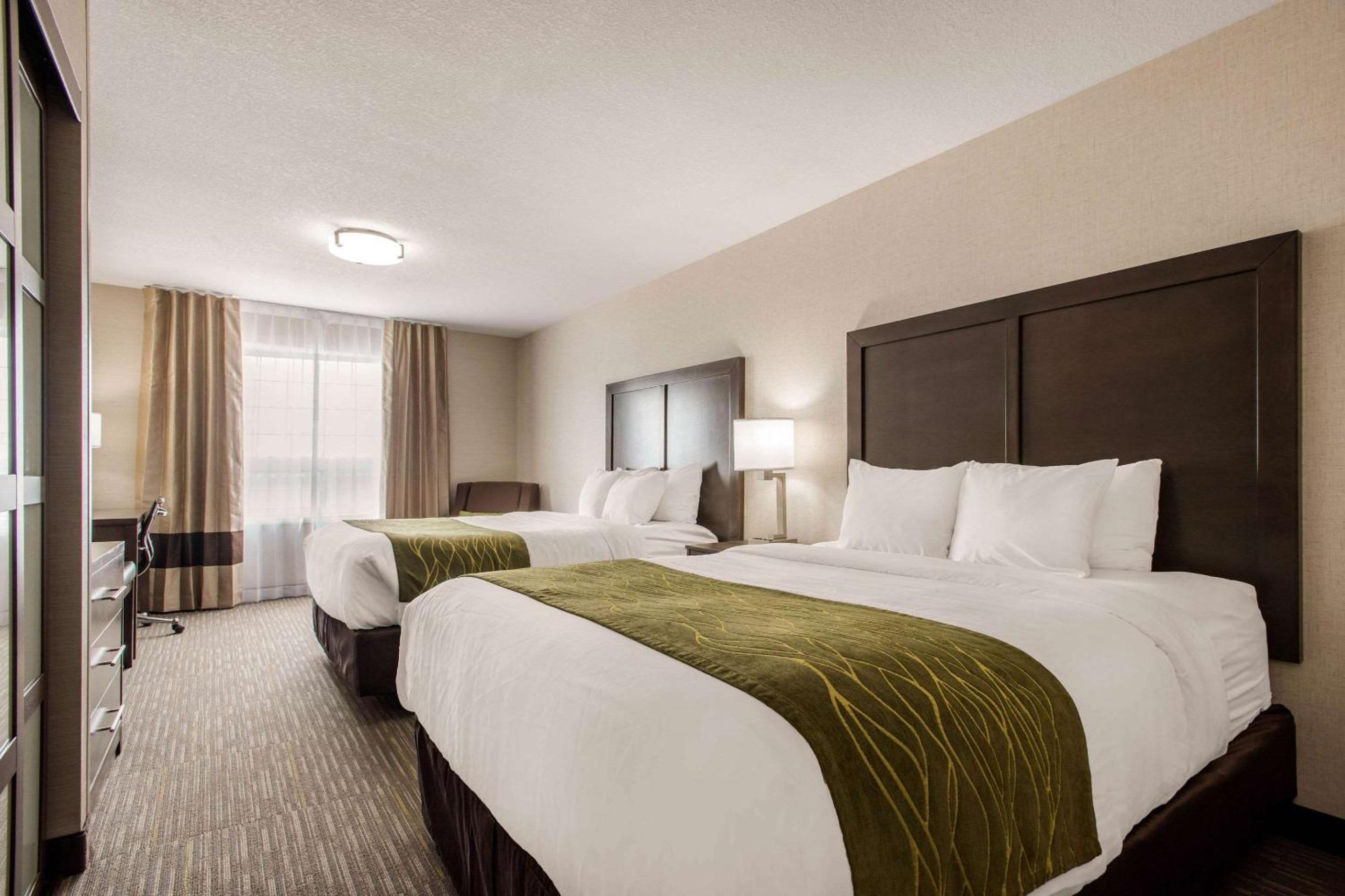 Queen Room with Two Queen Beds - Non-Smoking