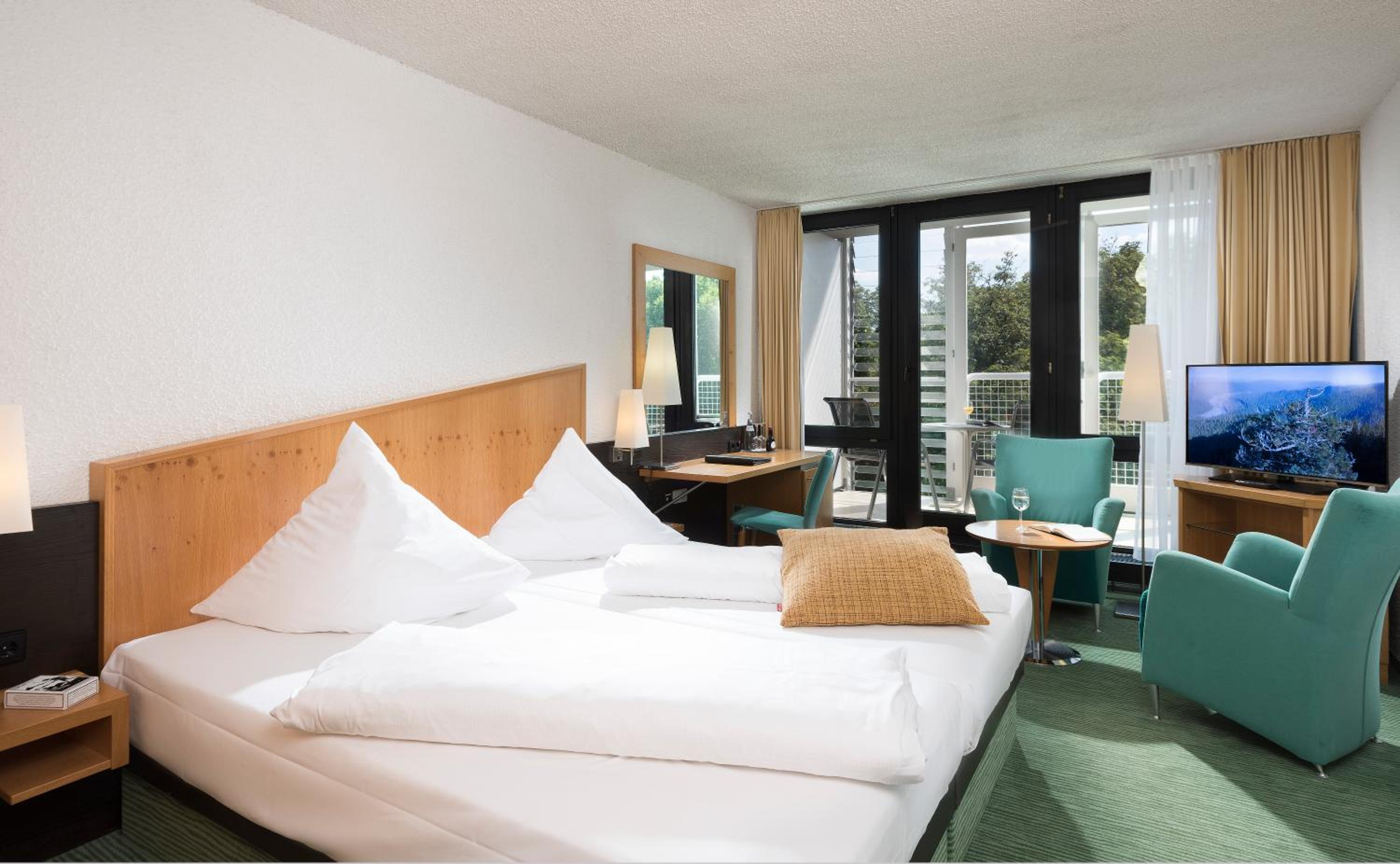 Comfort Double Room with Park View
