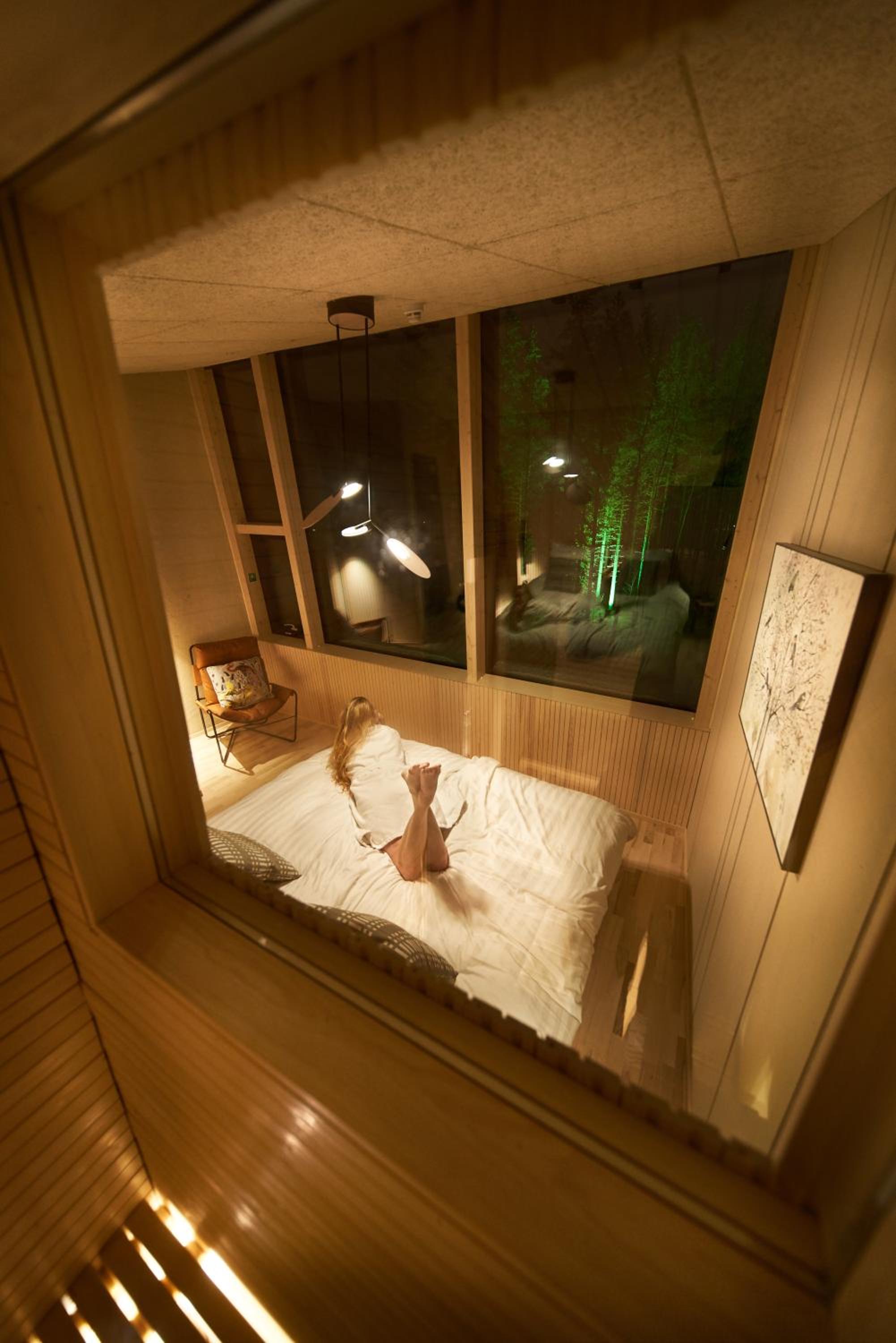 Aurora Suite (Double bed)