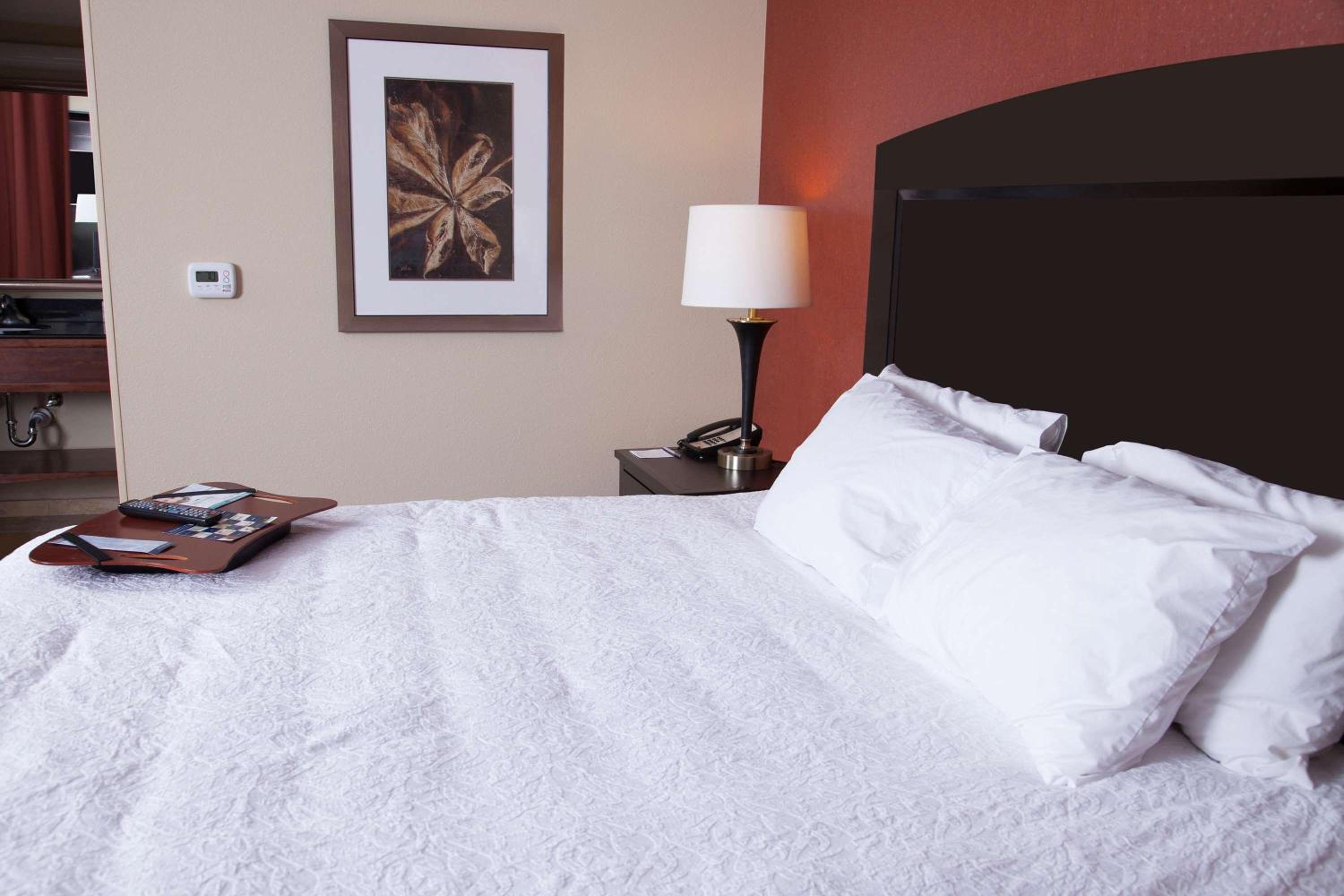 King Studio Suite - Mobility Access/Non-Smoking