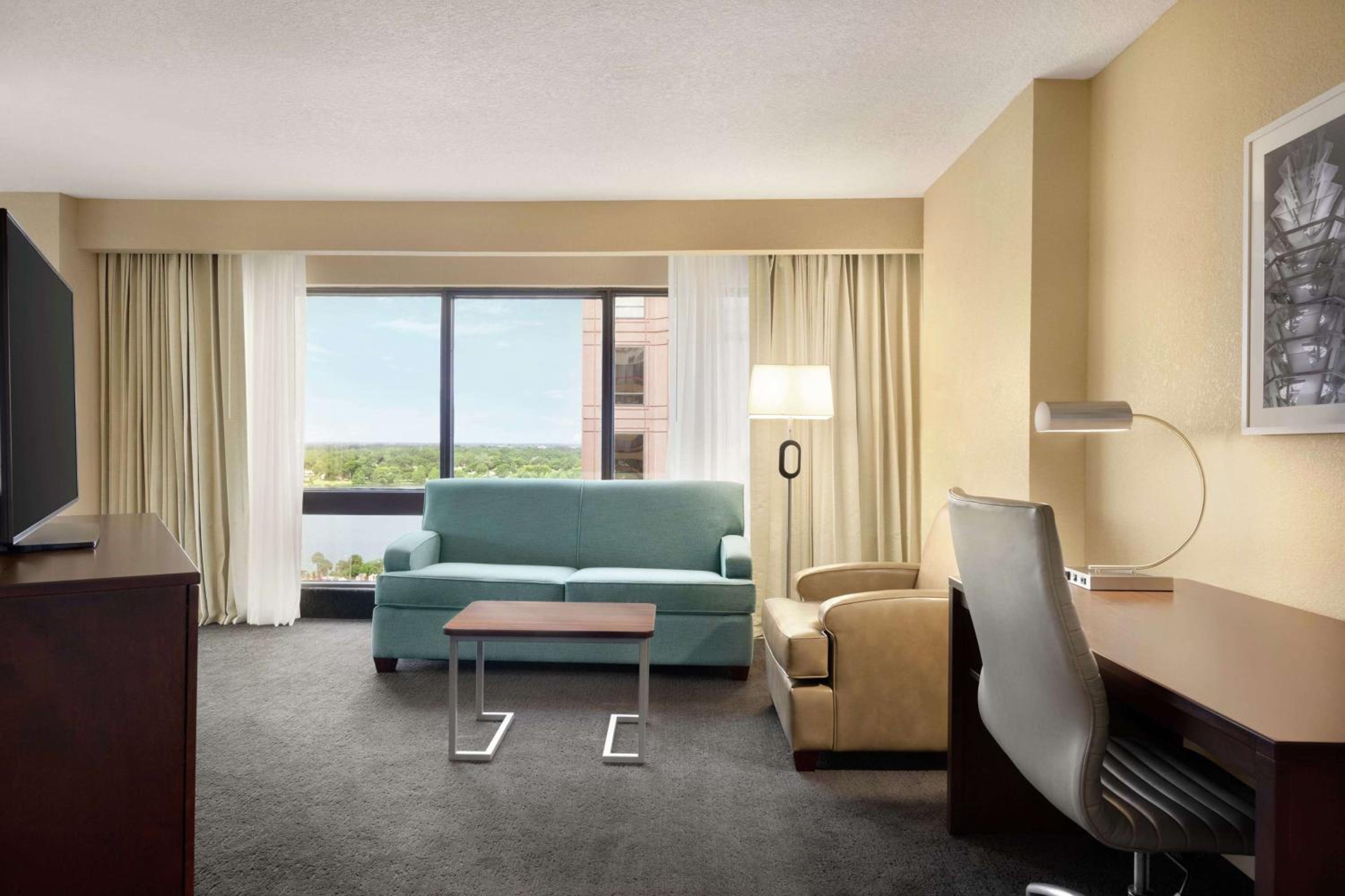 Junior King Suite with Sofa Bed