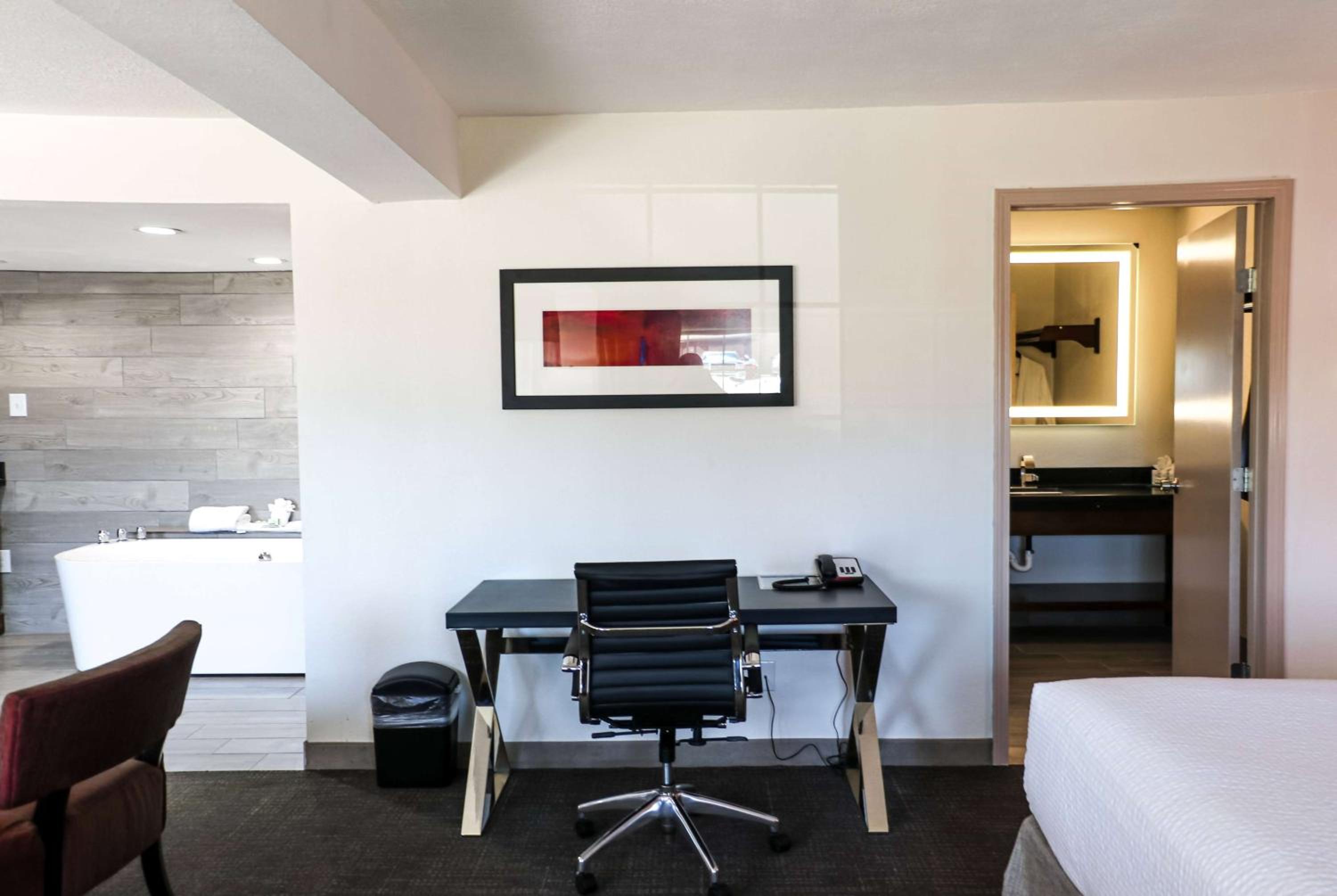 Deluxe One-Bedroom King Suite - Non-Smoking