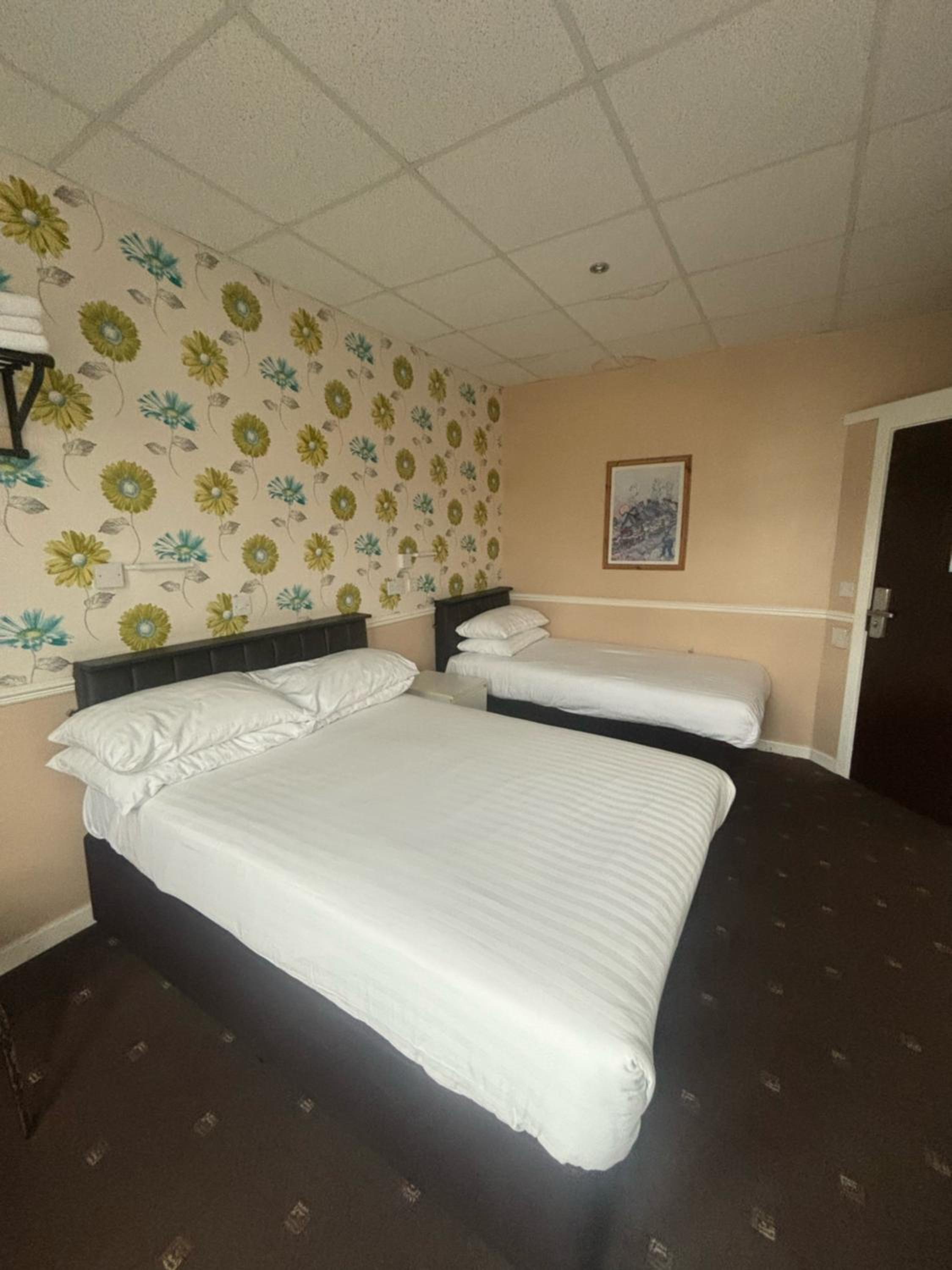 Family room (sleeps 3)