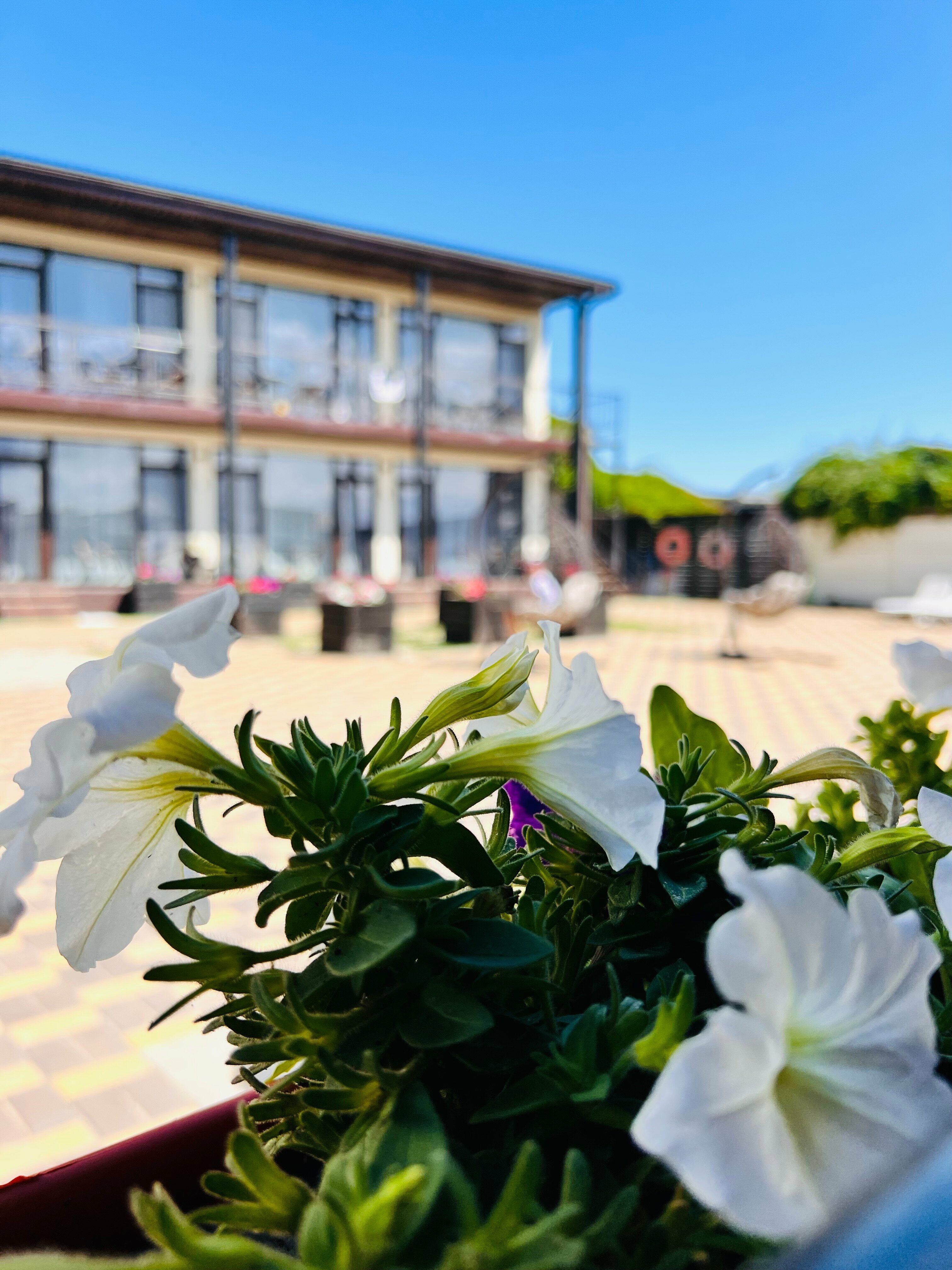 Улучшенный семейный номер