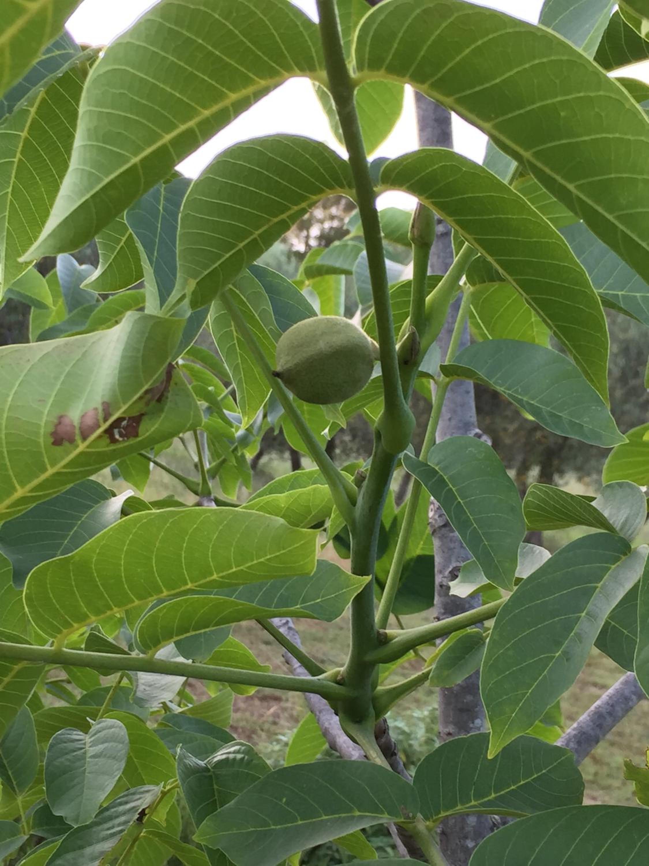 Family Apartment - Split Level