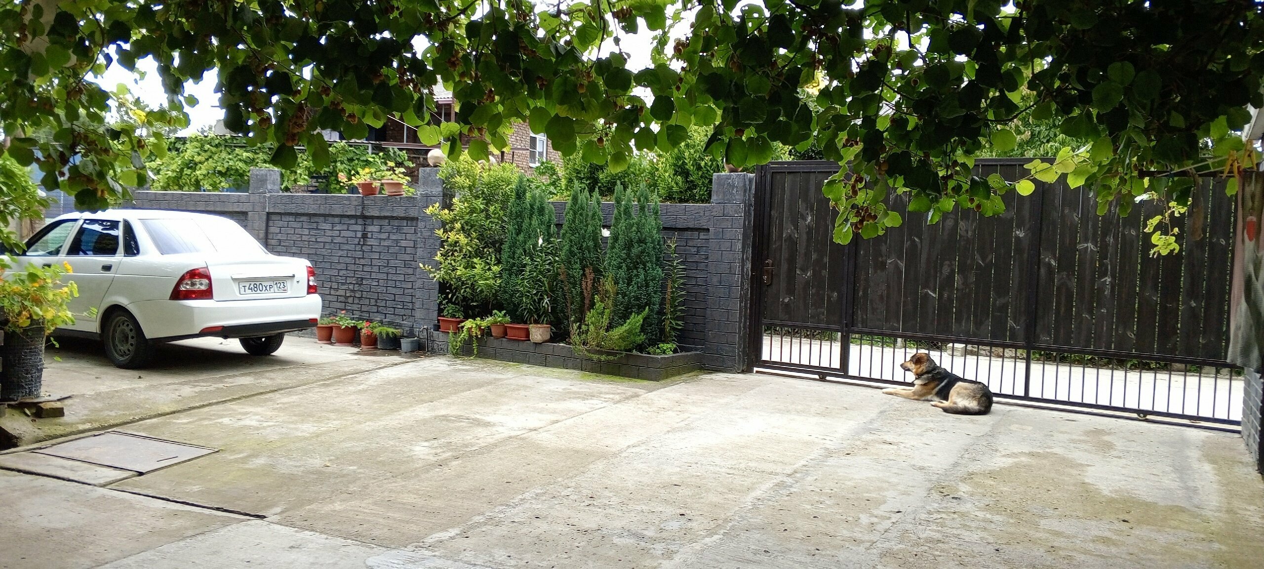 Двухуровневый люкс