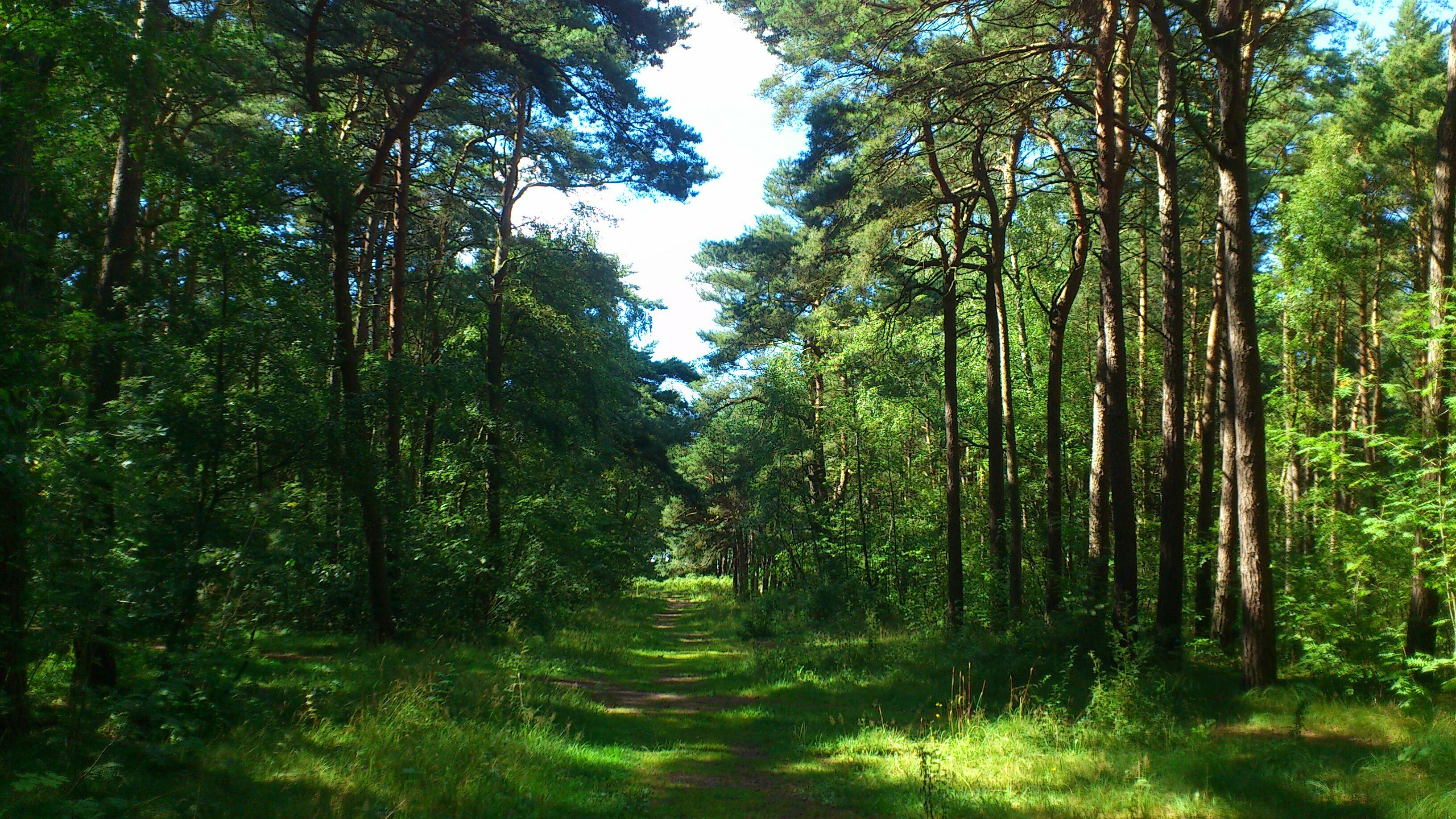 Апартаменты Санторини